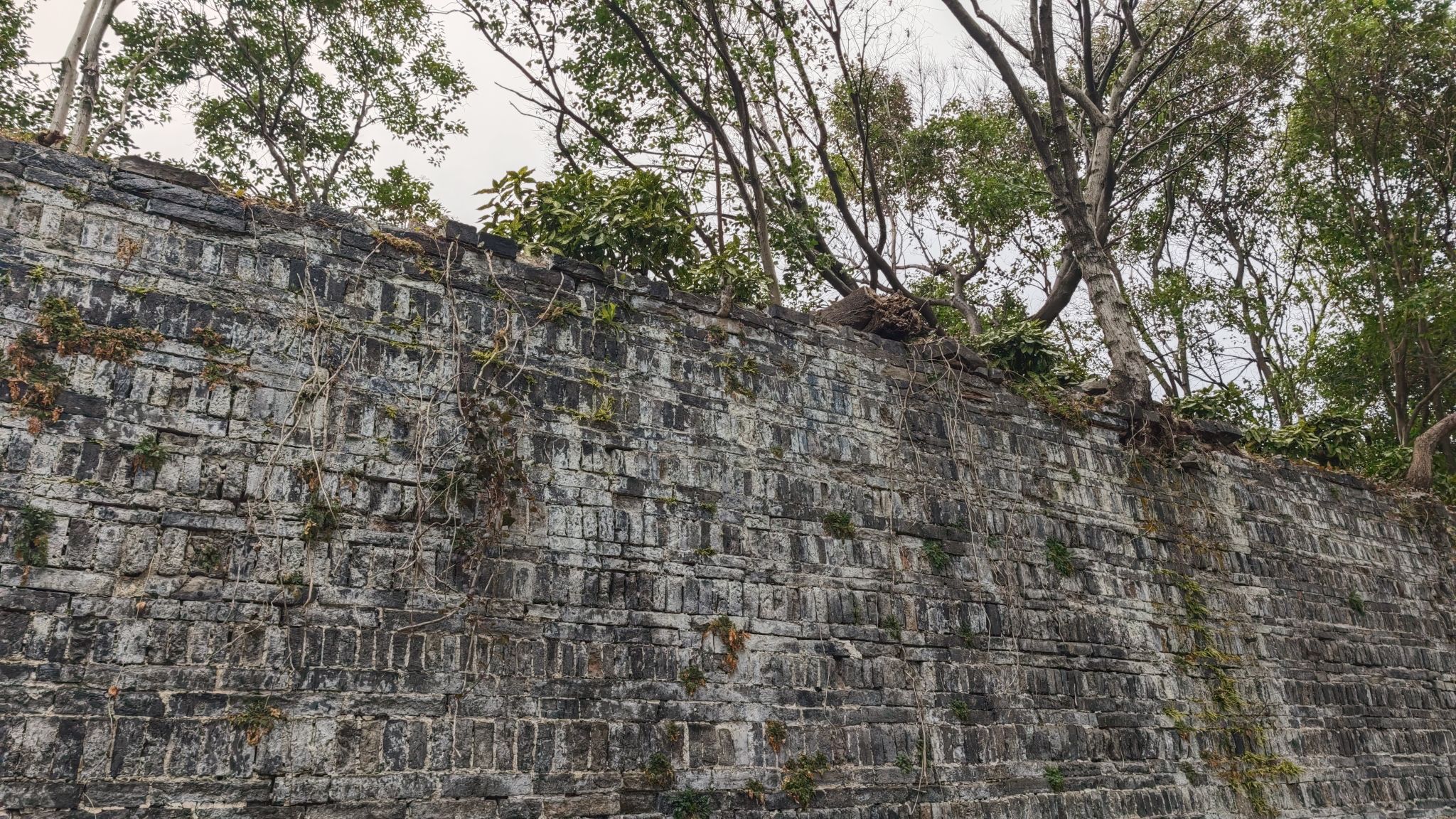 南水关公园旅行图片 3