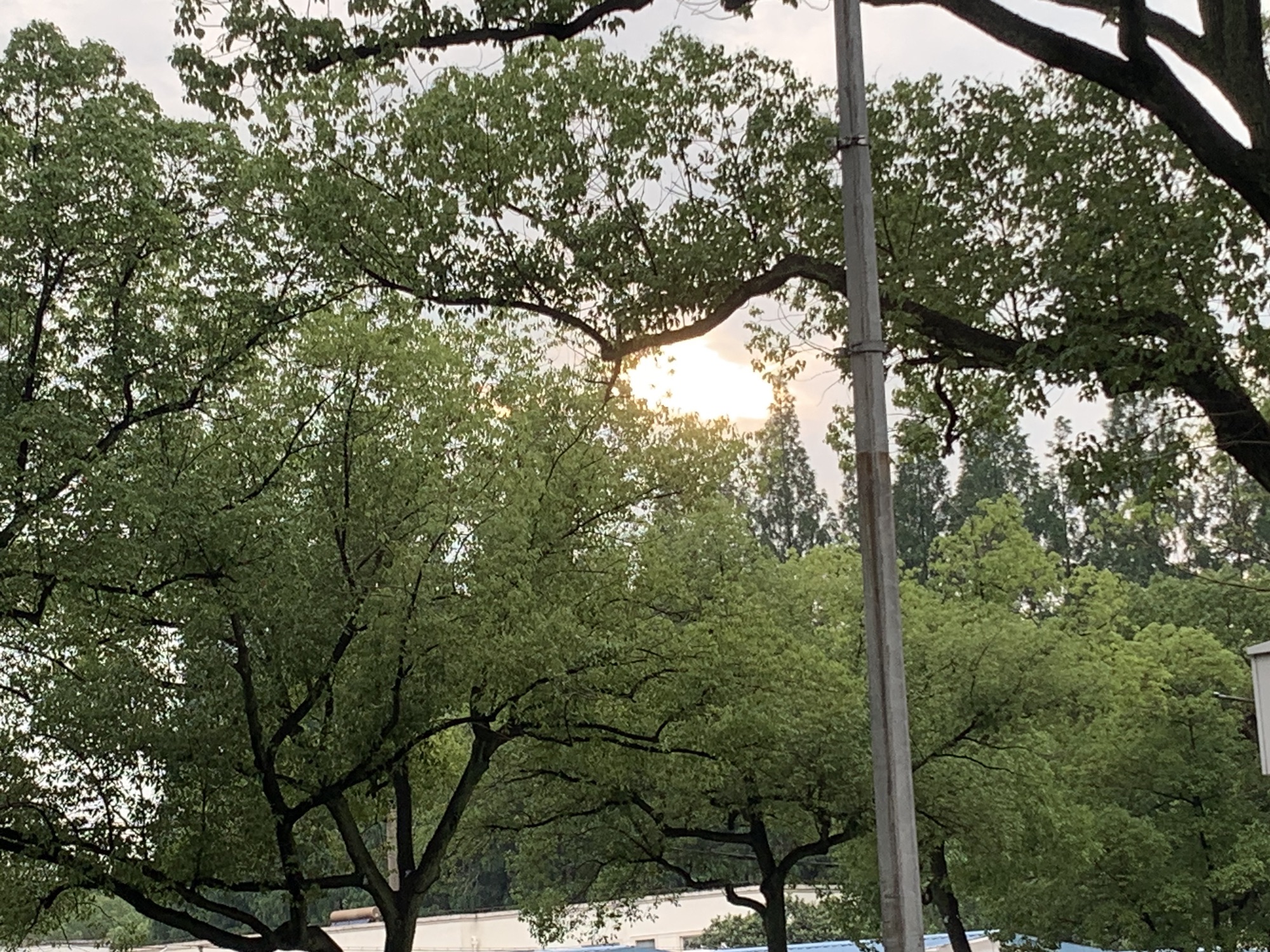 南城墙公园旅行图片 3