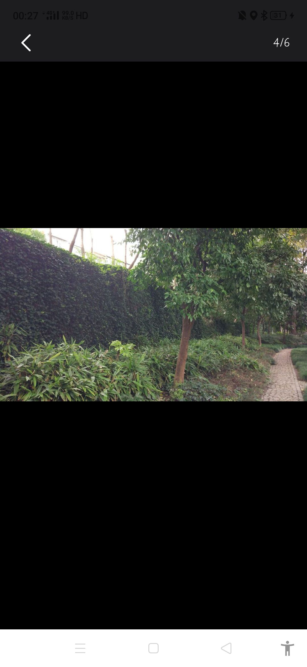 南城墙公园旅行图片 3