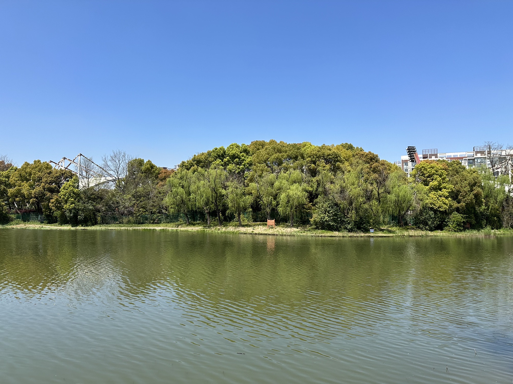 新江湾城公园旅行图片 1