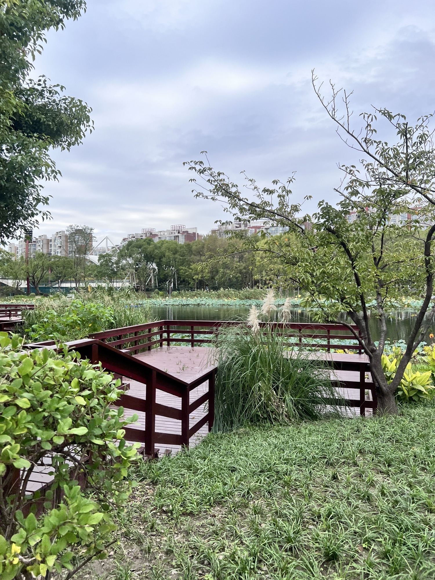 新江湾城公园旅行图片 3