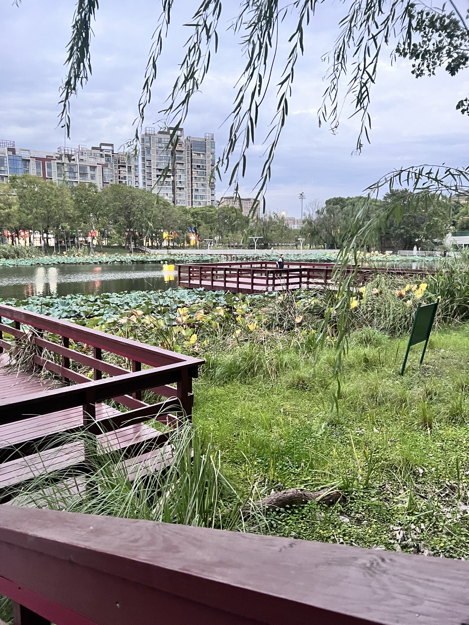 新江湾城公园旅行图片 2