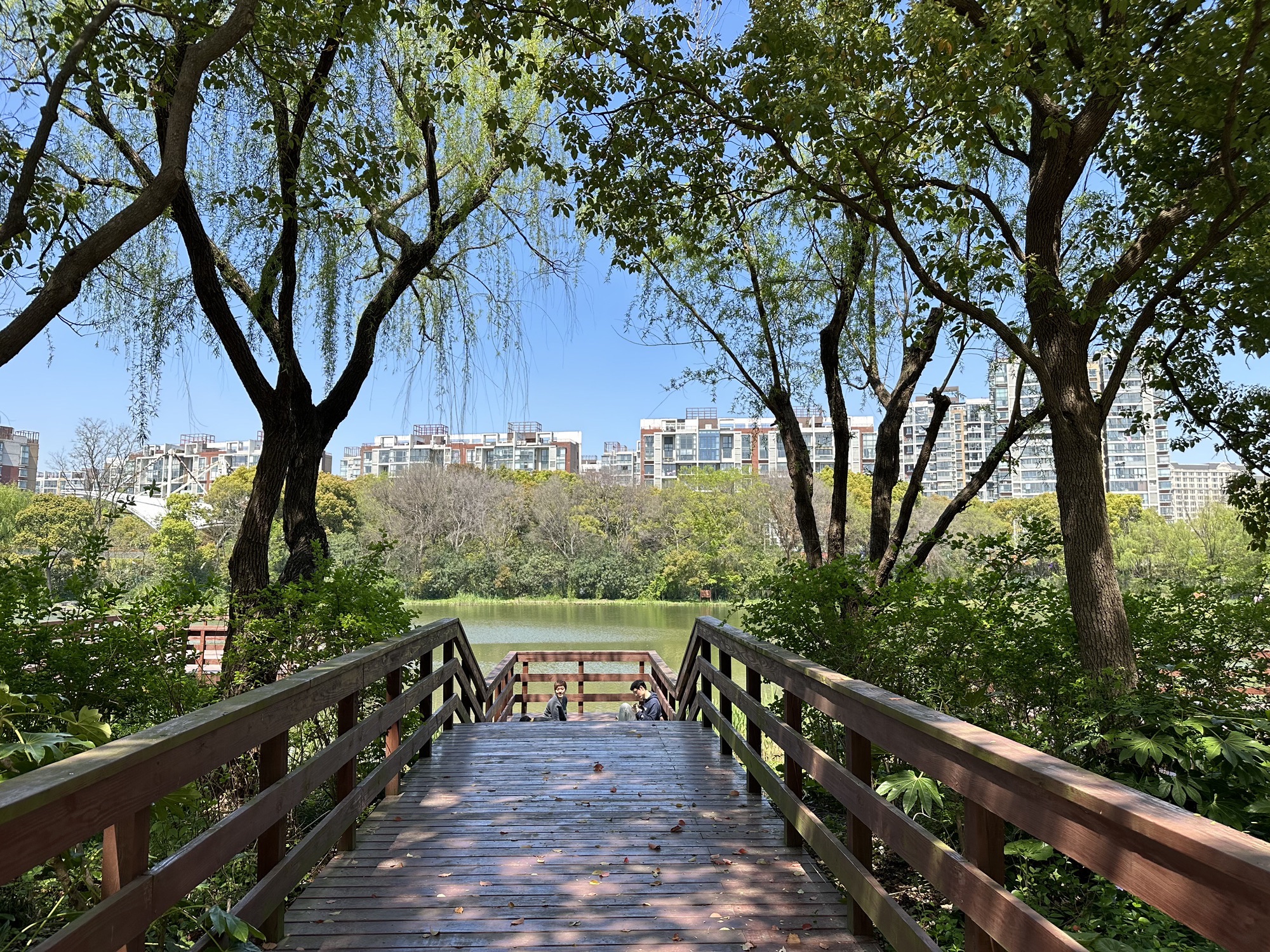 新江湾城公园旅行图片 3