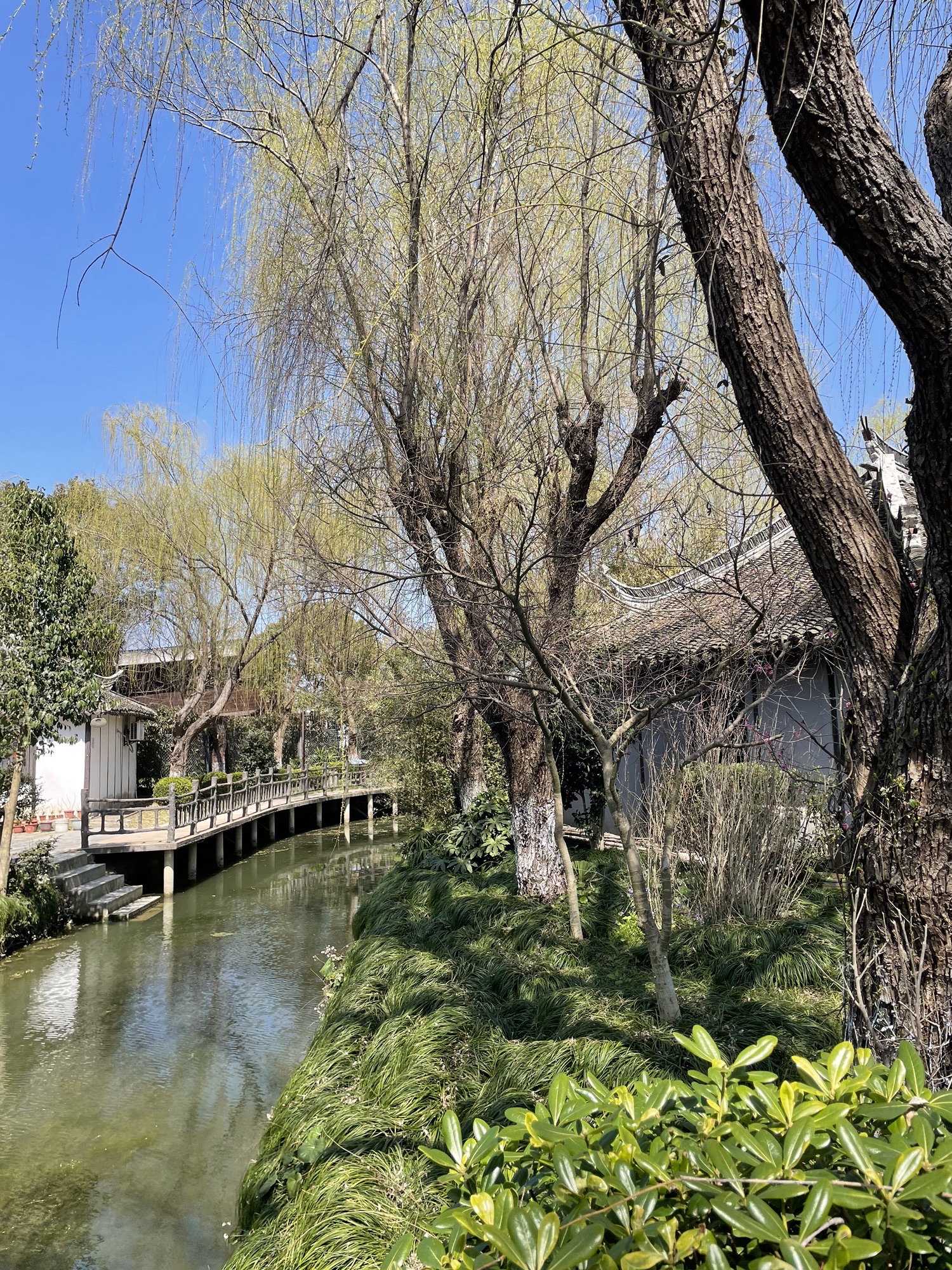 中国农民画村旅行图片 1