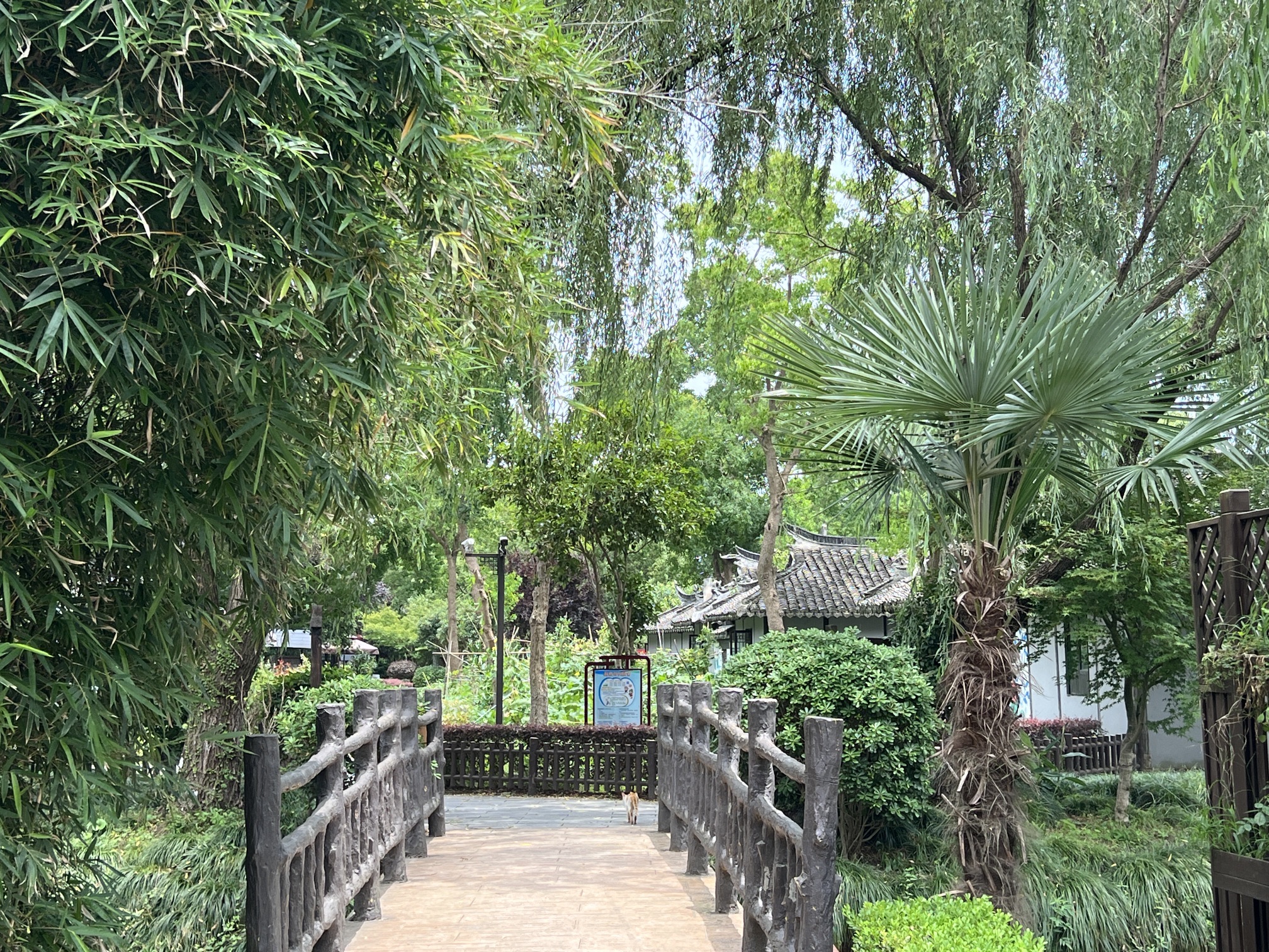 中国农民画村旅行图片 3