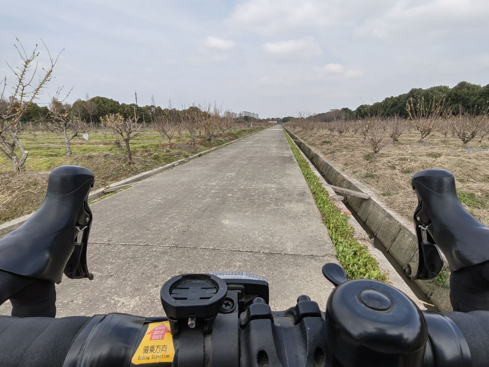 外冈蜡梅园旅行图片 1
