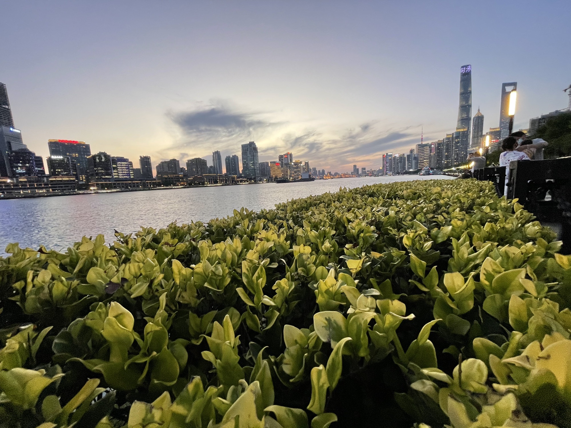 老白渡滨江绿地旅行图片 2