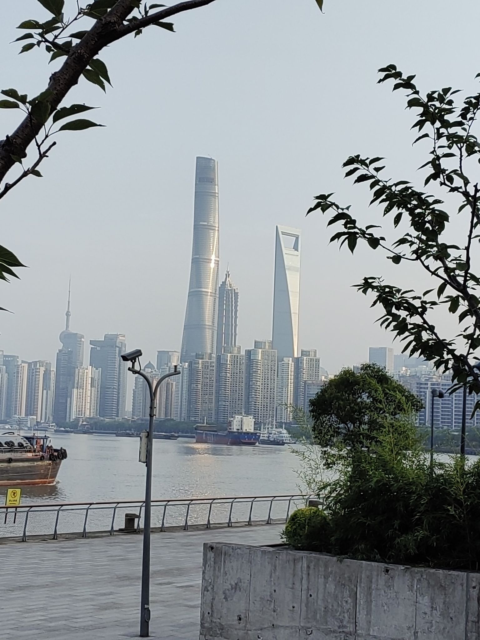 老白渡滨江绿地旅行图片 3