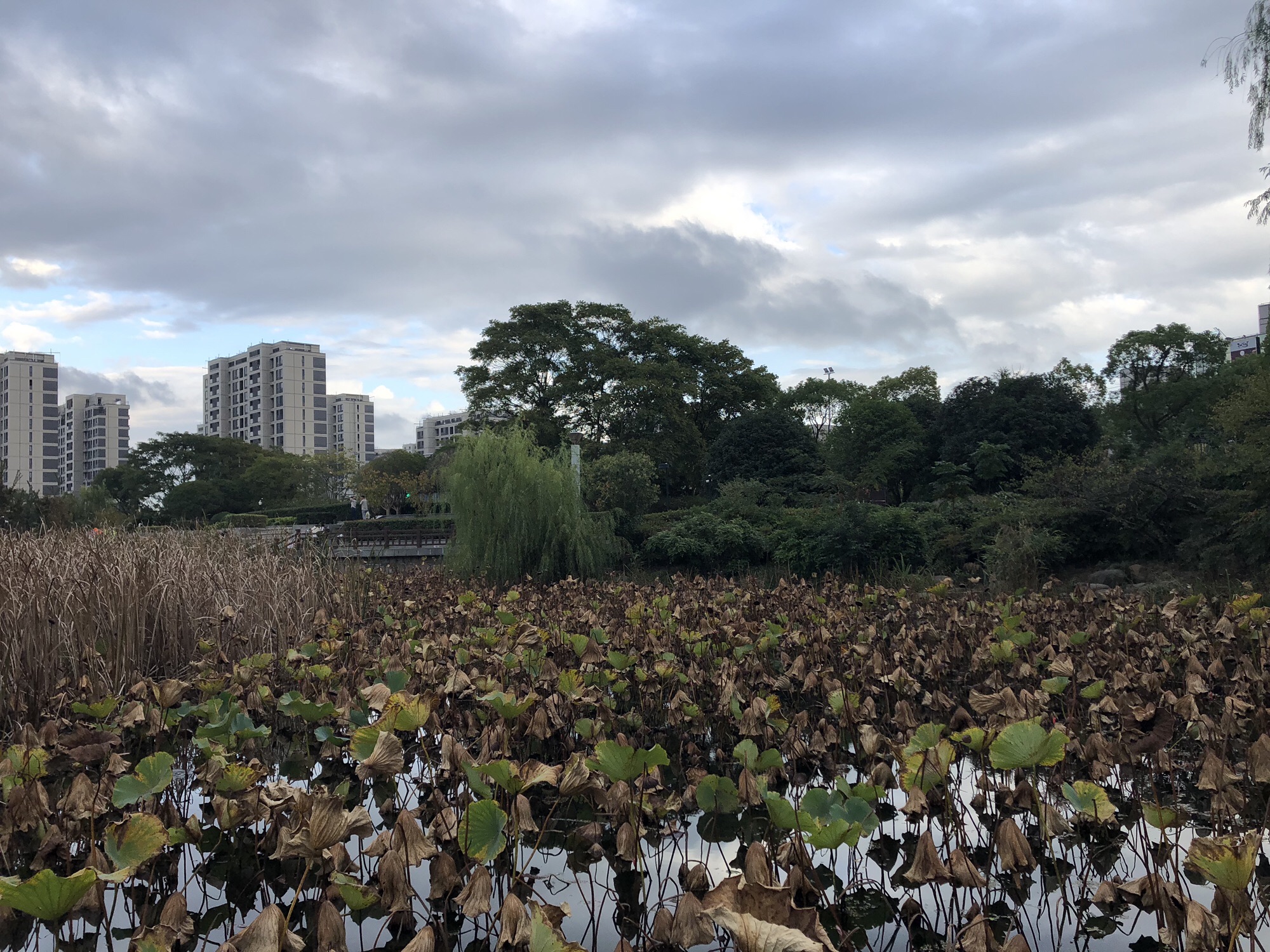 海天湖公园旅行图片 2