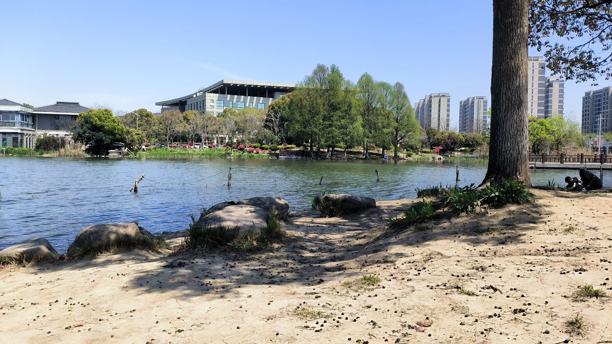 海天湖公园旅行图片 3