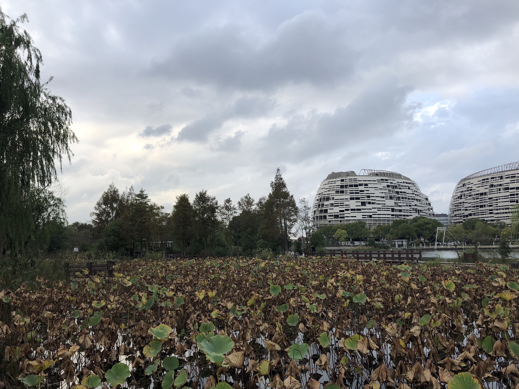 海天湖公园旅行图片 3