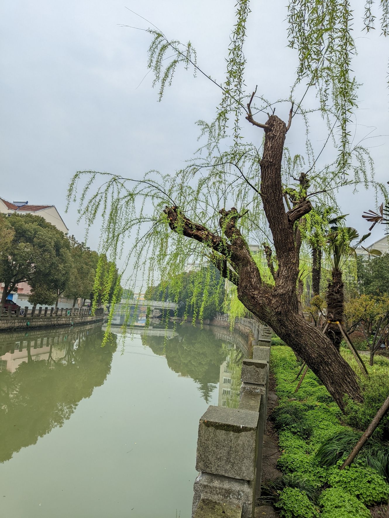 上海亭林遗址公园旅行图片 3