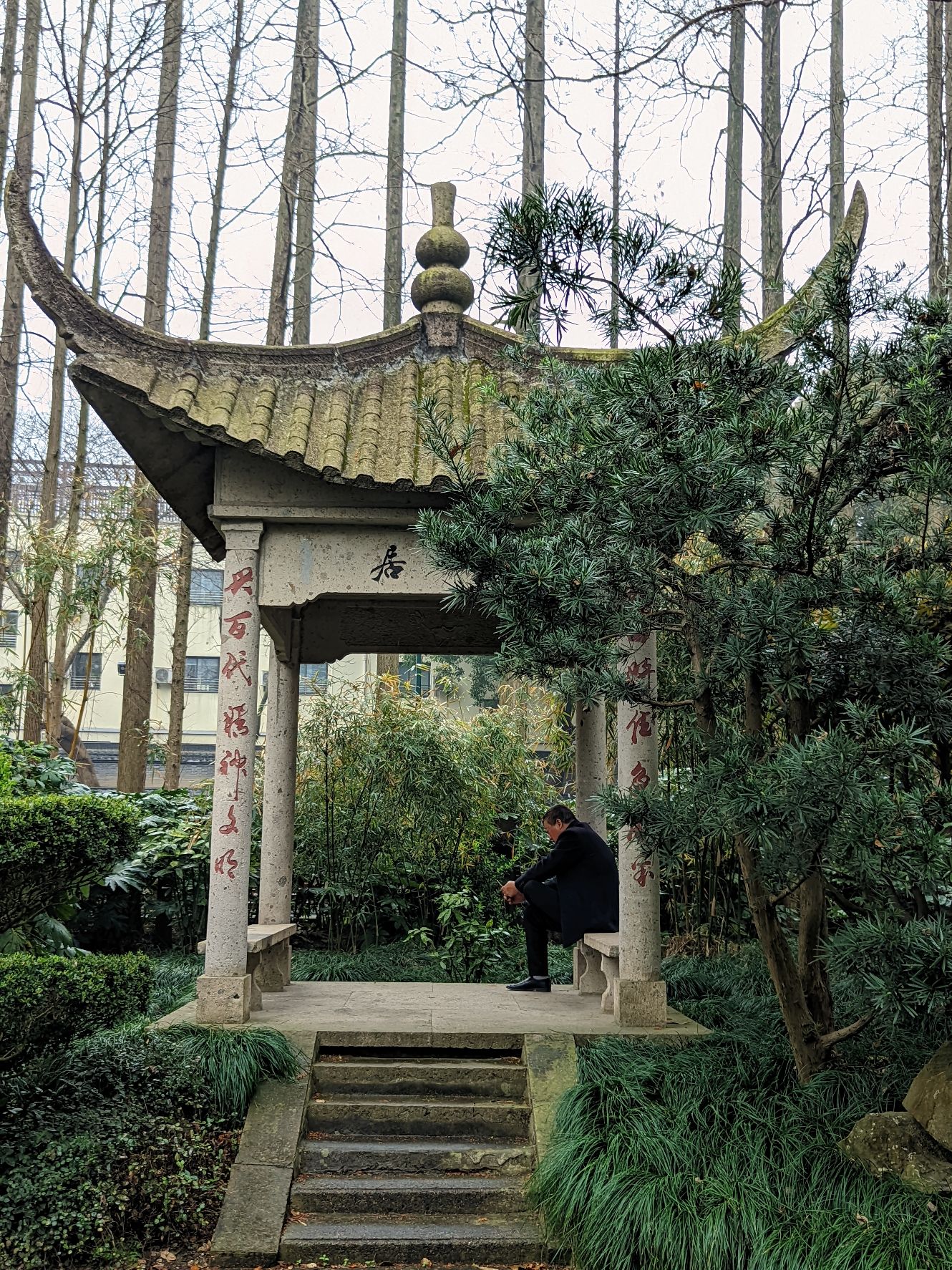 上海亭林遗址公园旅行图片 2