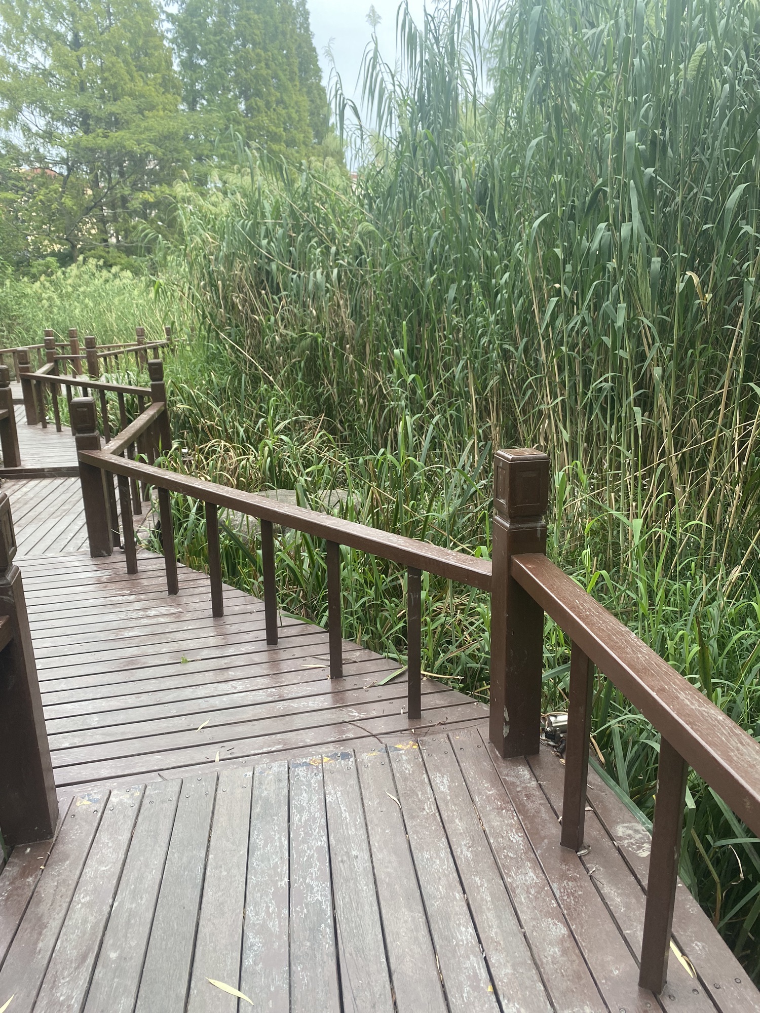 康健园旅行图片 2