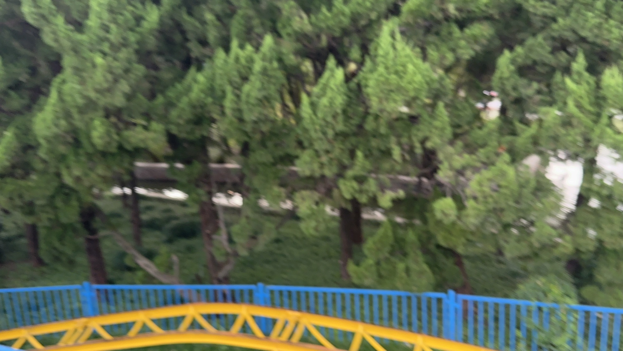 康健园旅行图片 2
