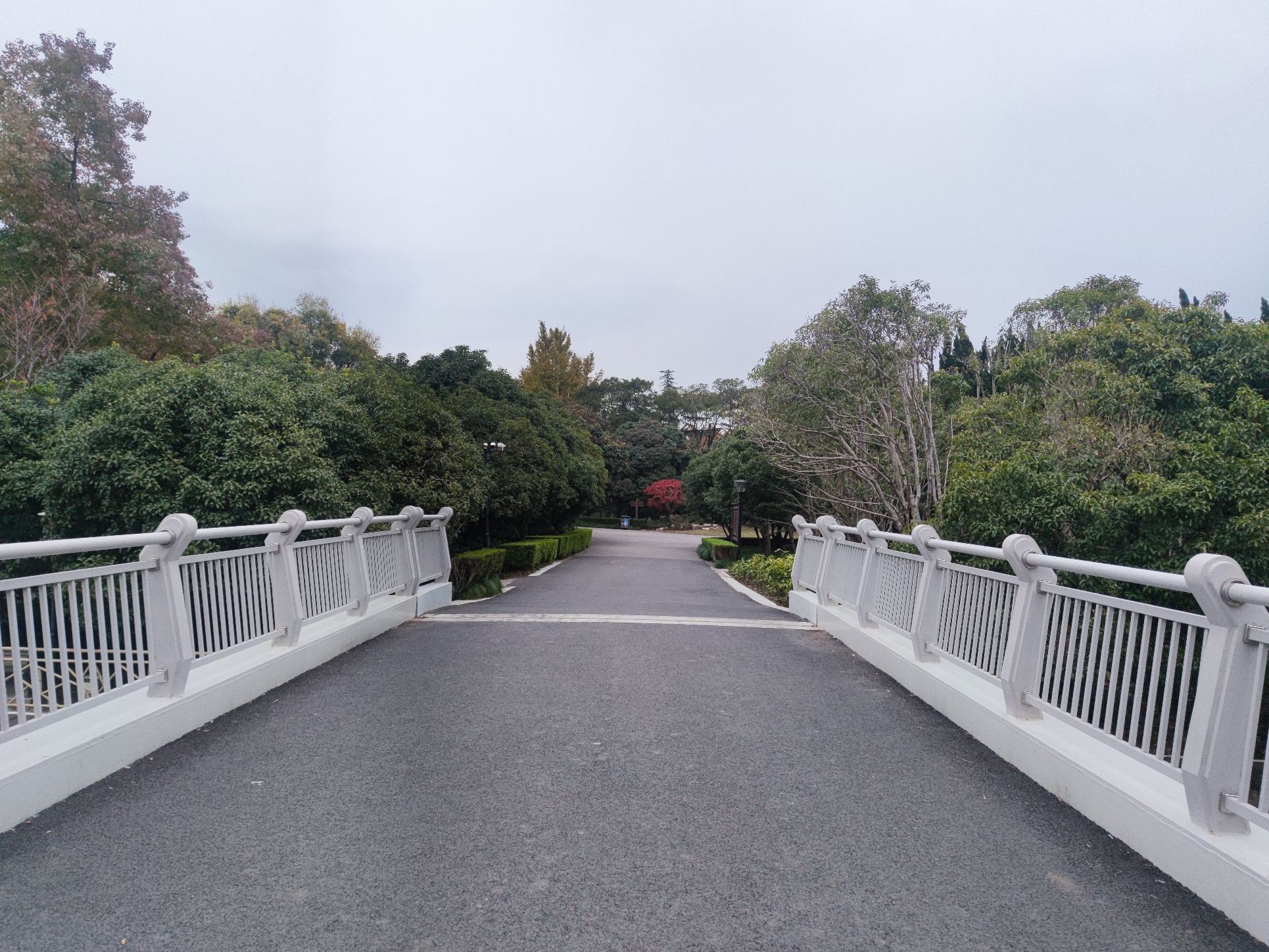 康健园旅行图片 2