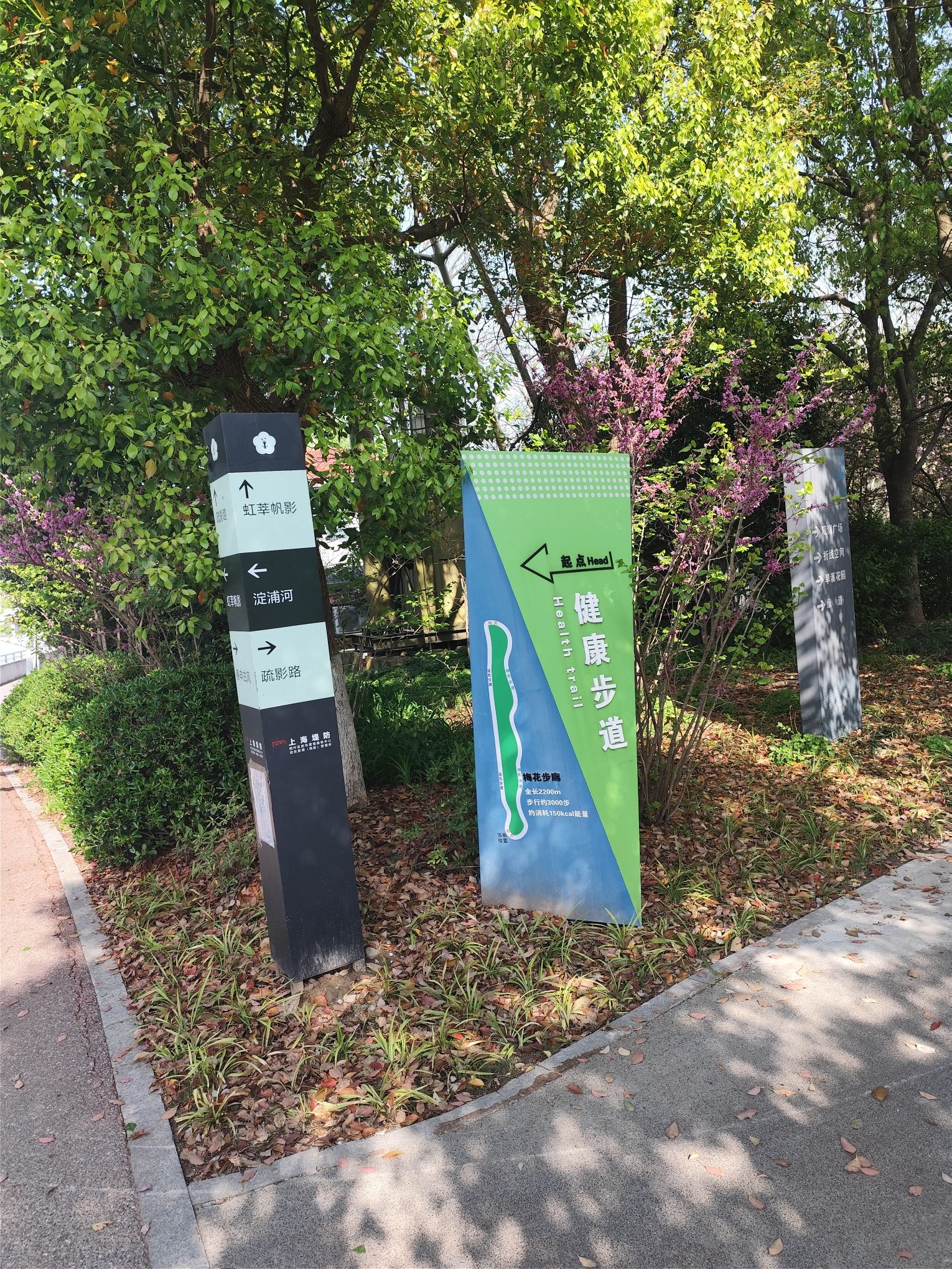 淀浦河南侧绿地旅行图片 1