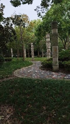 马桥公园旅行图片 3