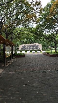 马桥公园旅行图片 2