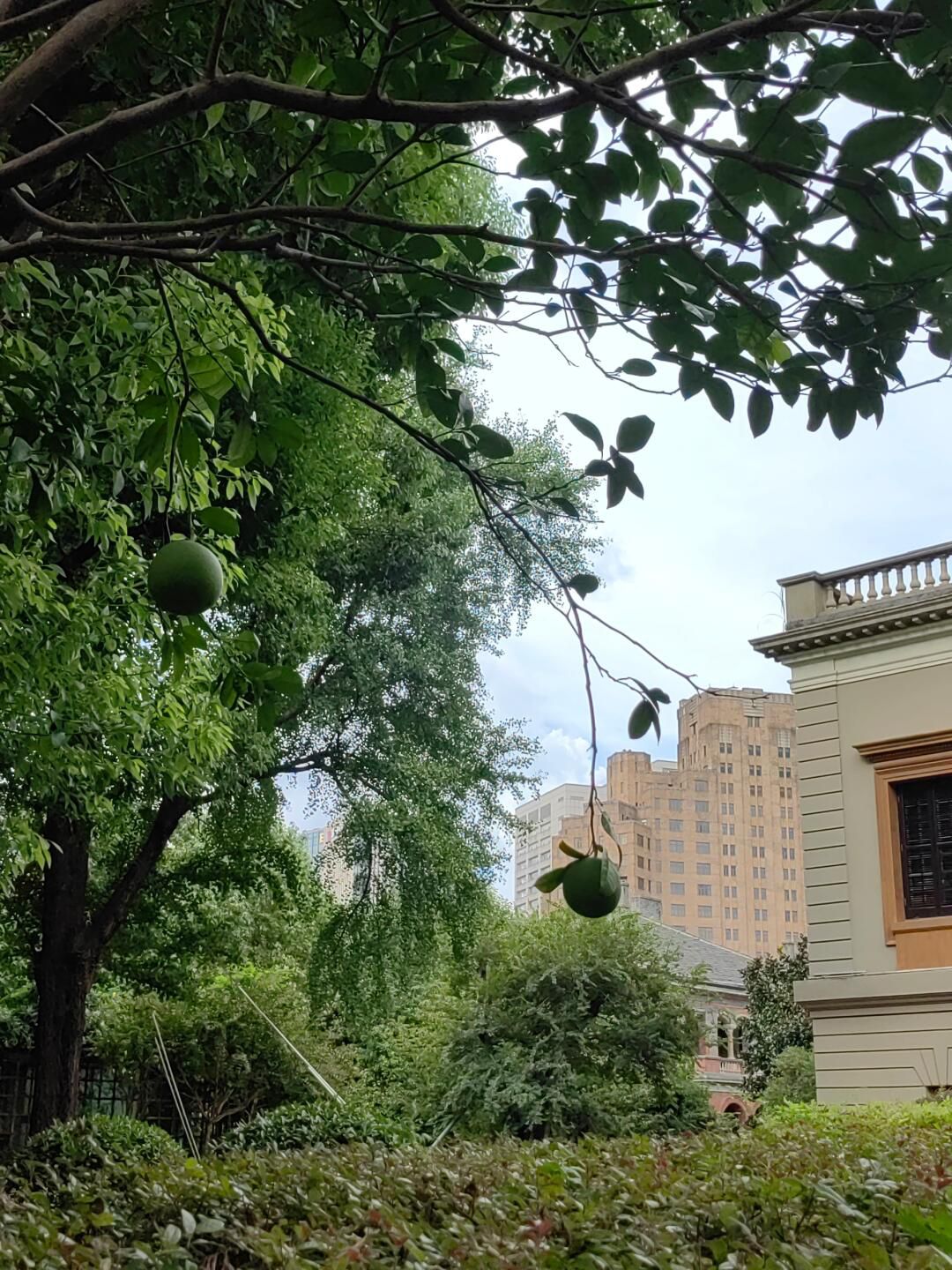 外滩源33旅行图片 3