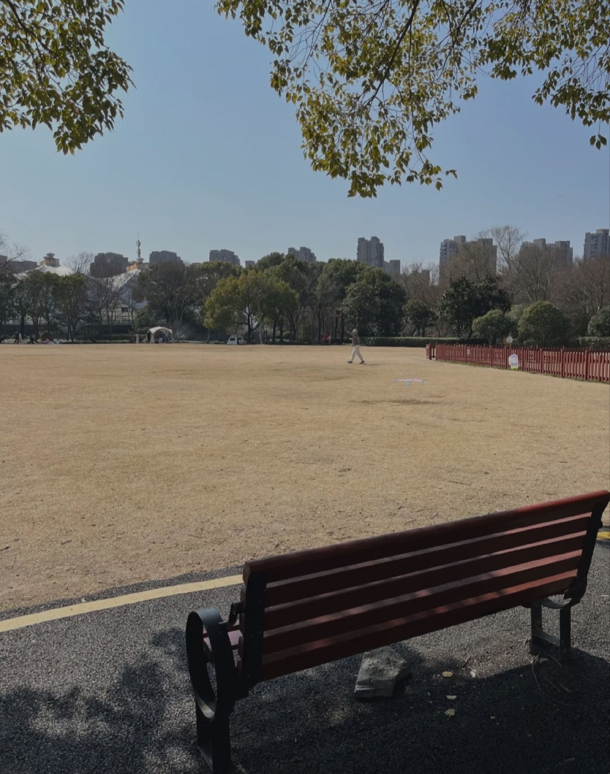百亩公园旅行图片 1