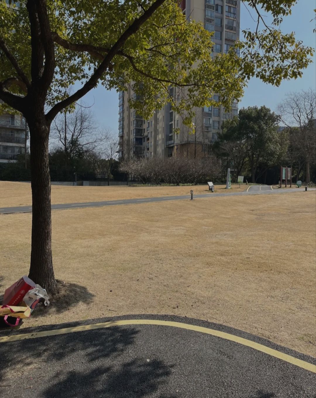 百亩公园旅行图片 2
