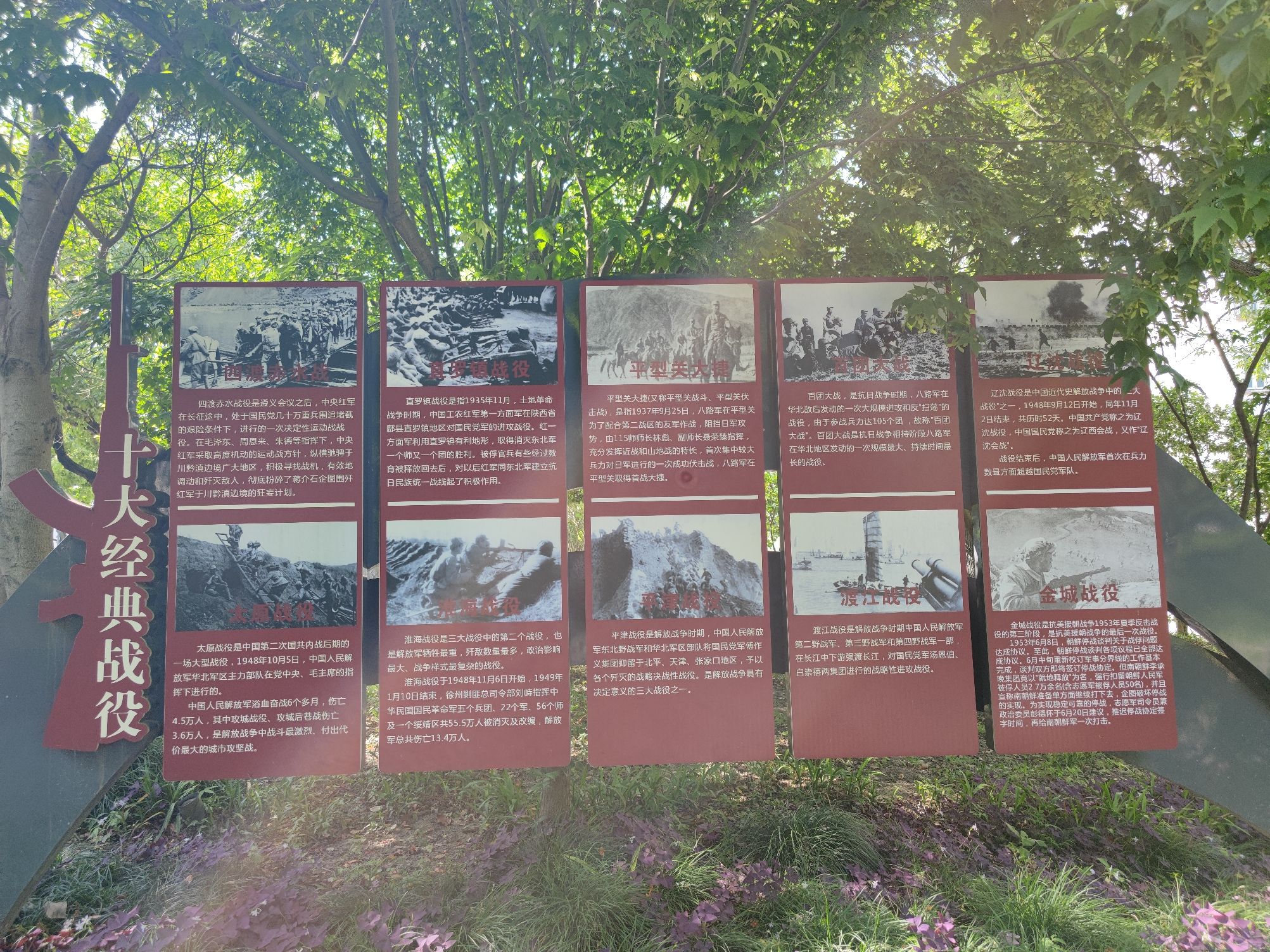 银杏公园旅行图片 3