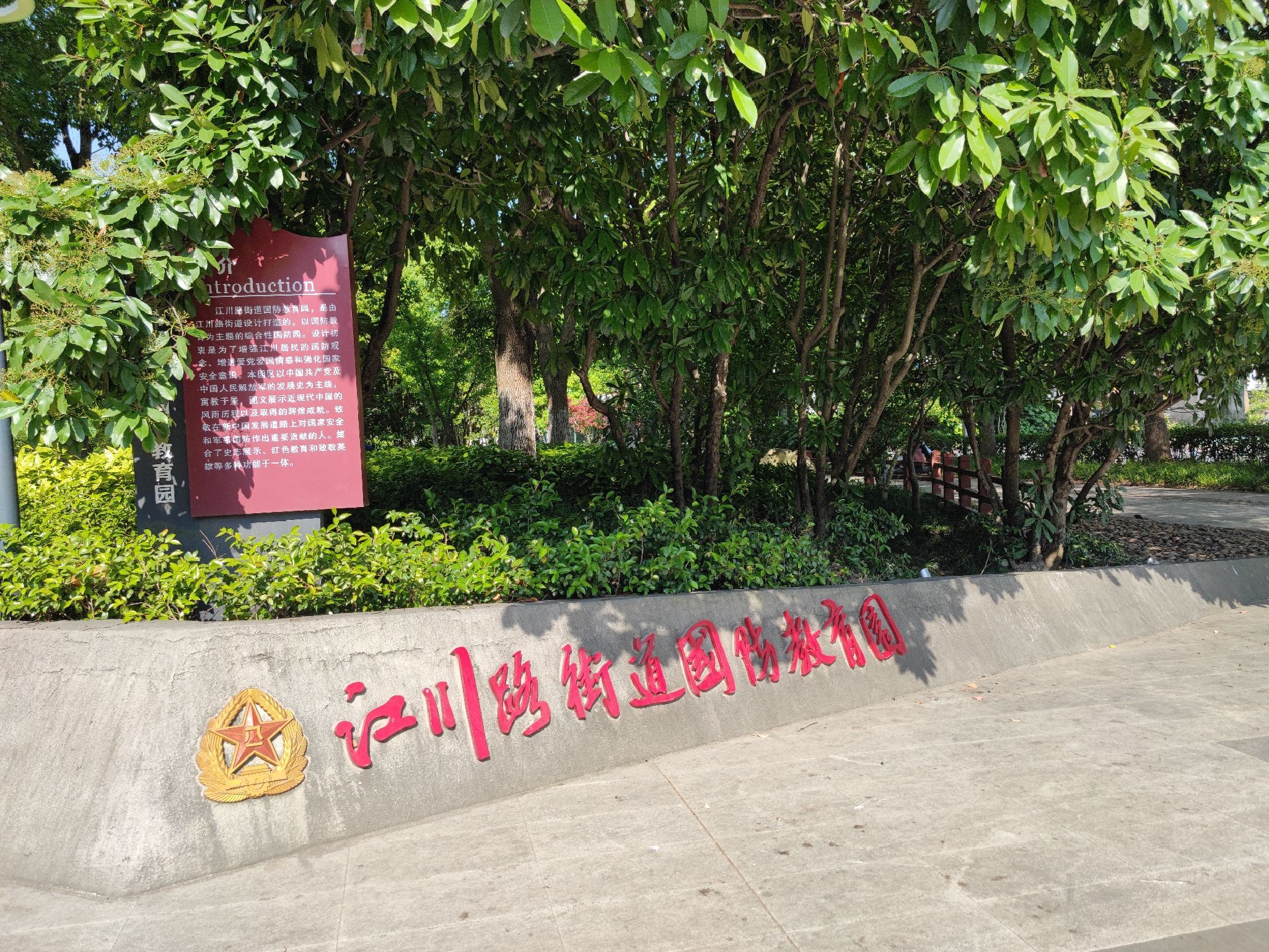 银杏公园旅行图片 1