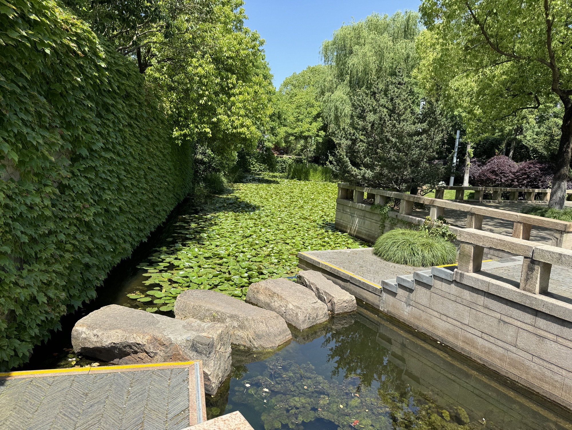 北箐园旅行图片 1