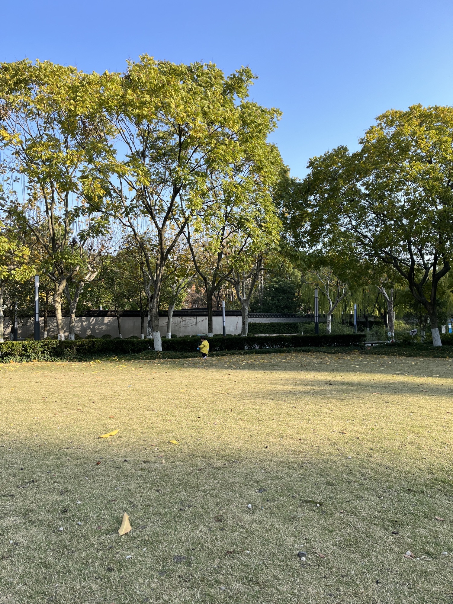 北箐园旅行图片 3