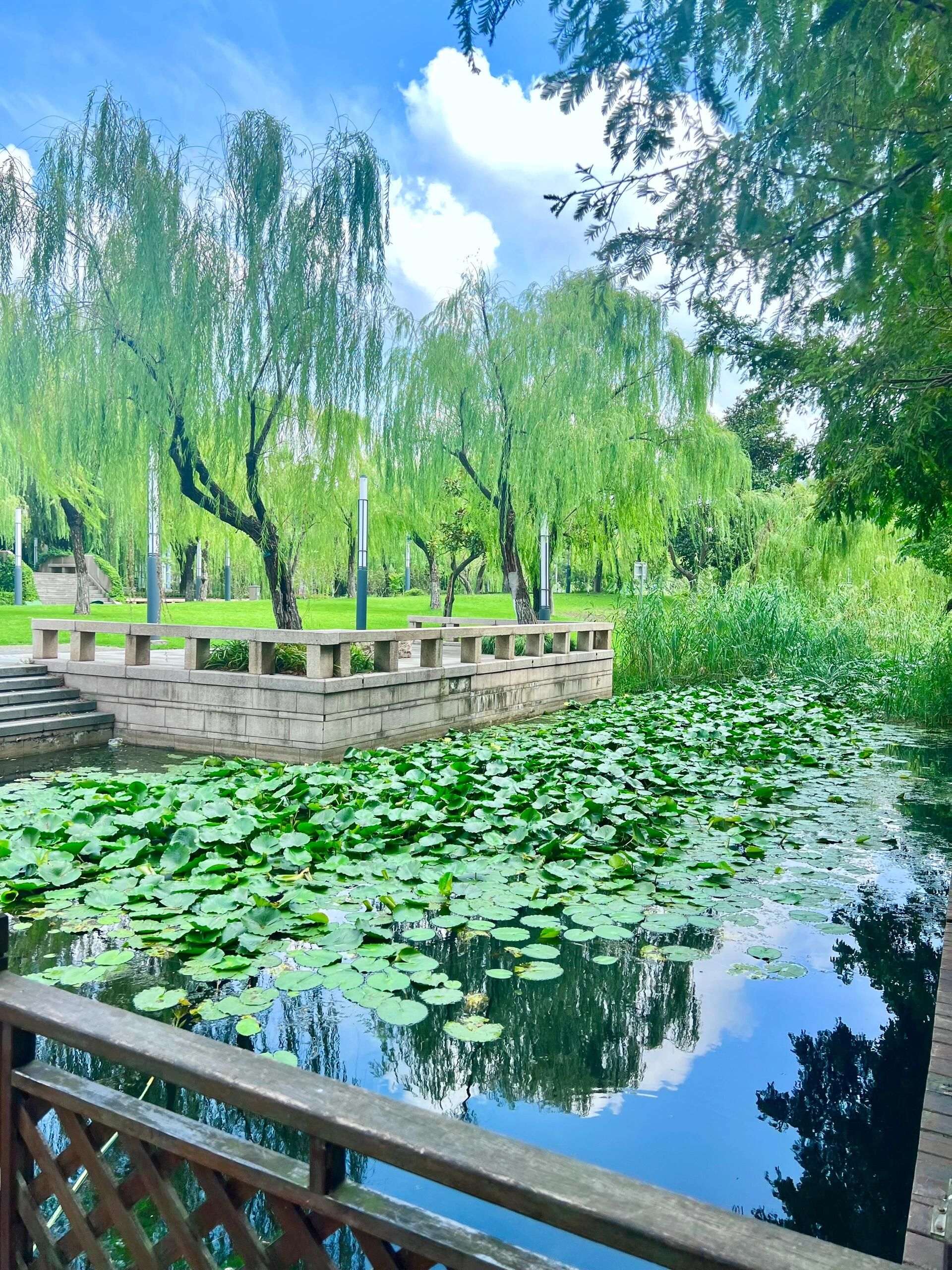 北箐园旅行图片 3