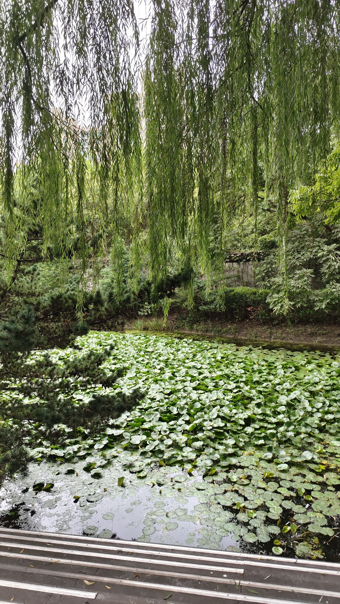 北箐园旅行图片 1