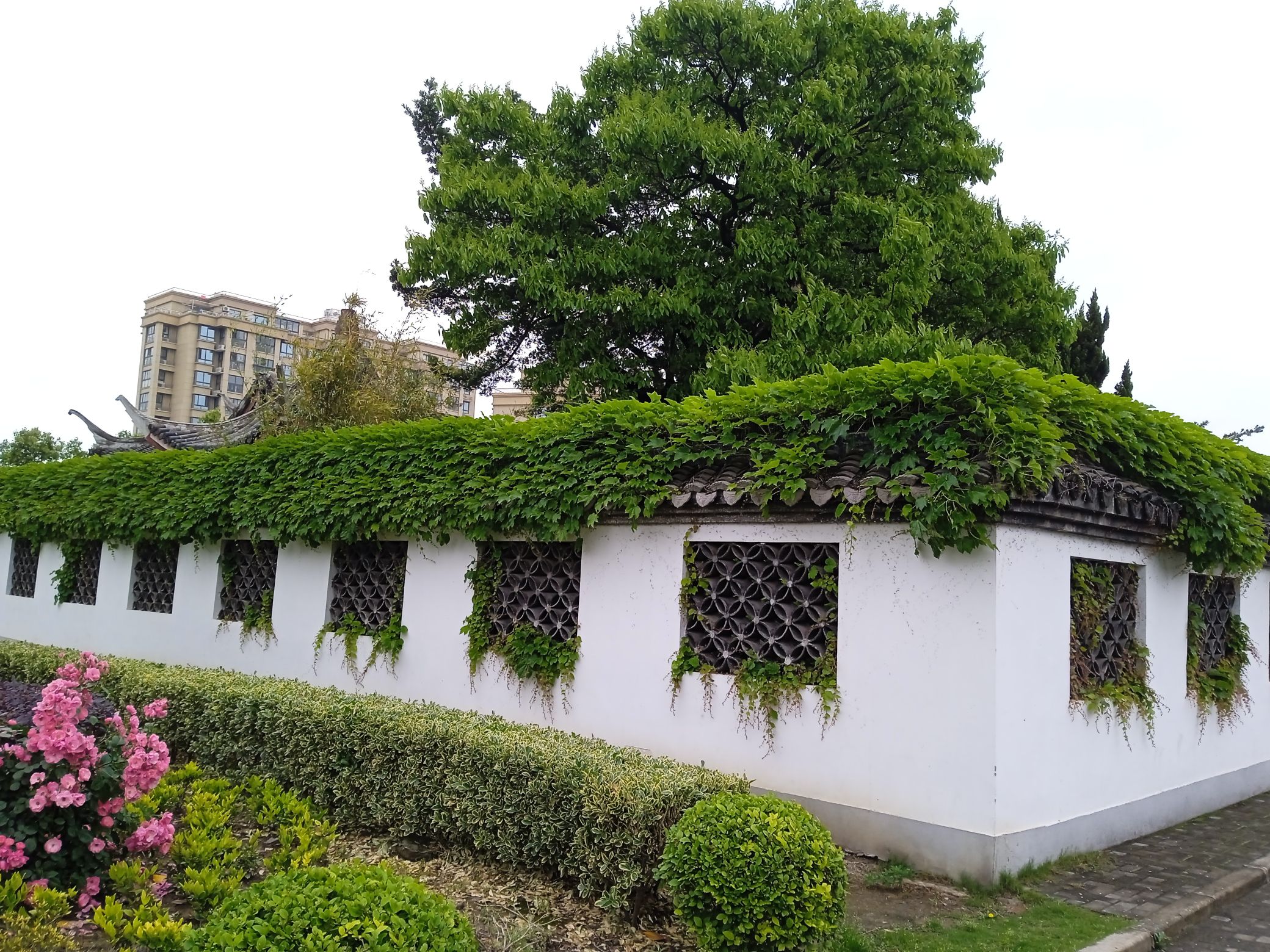 古松园旅行图片 3