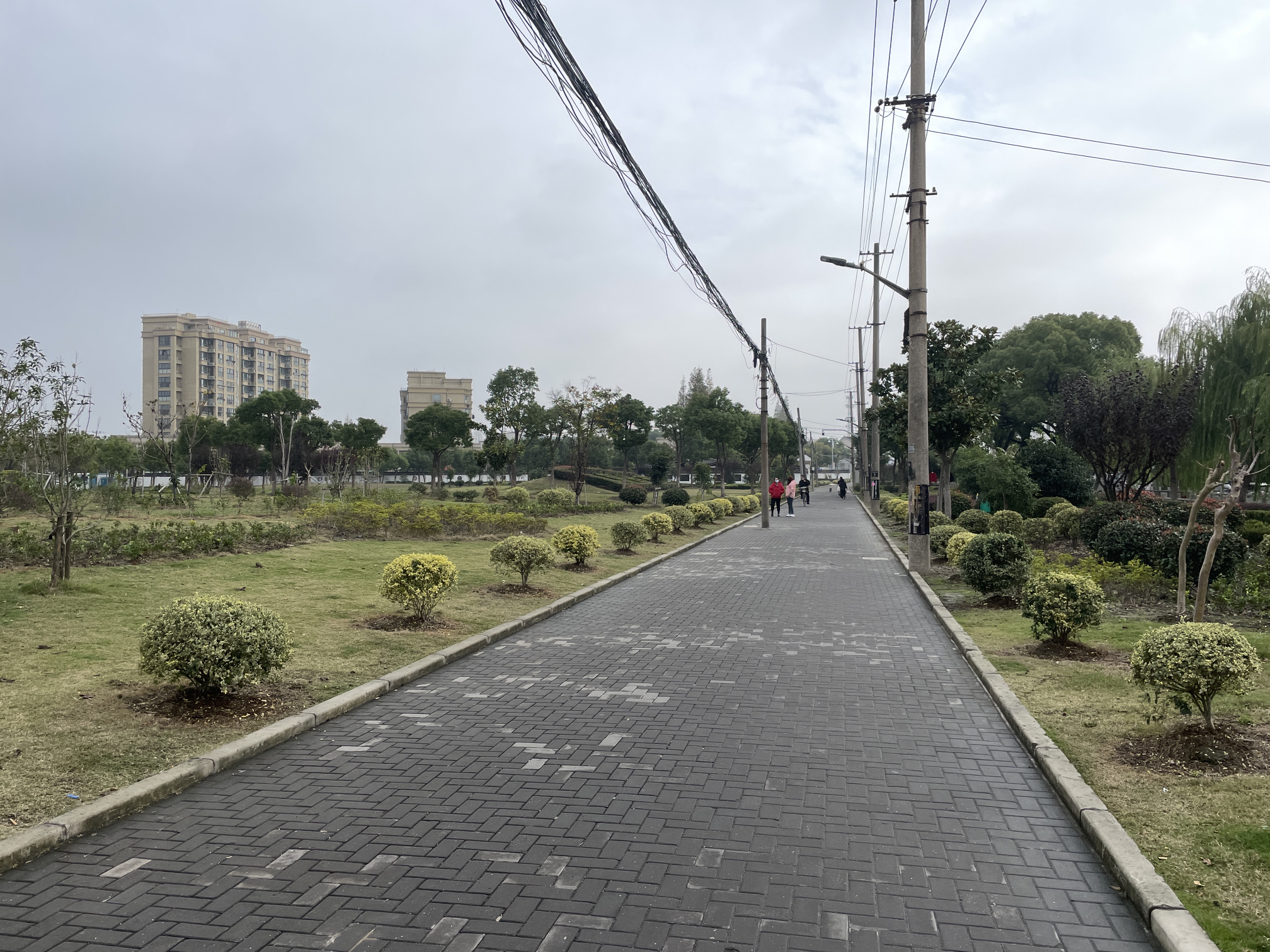 古松园旅行图片 1