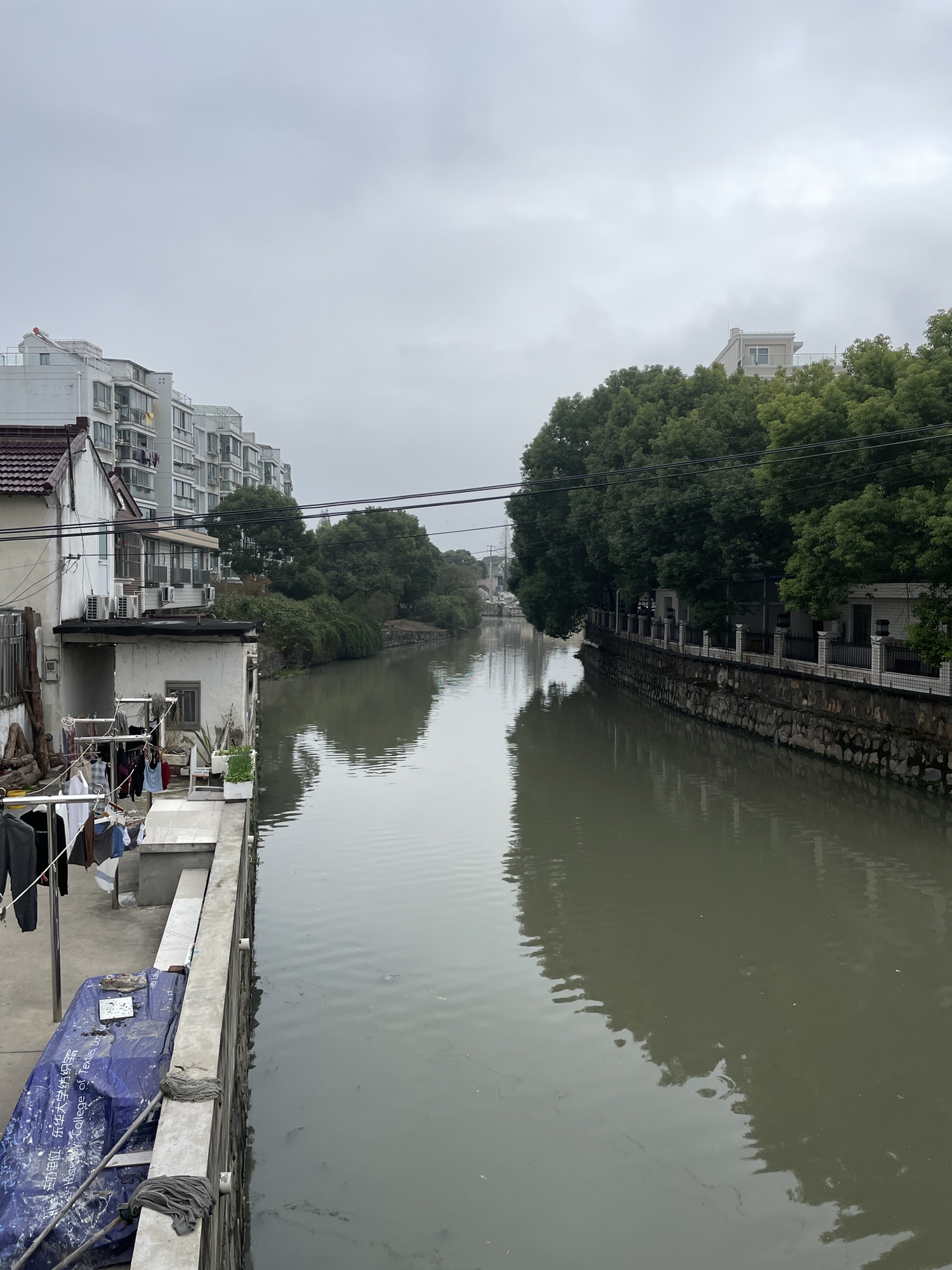 古松园旅行图片 2
