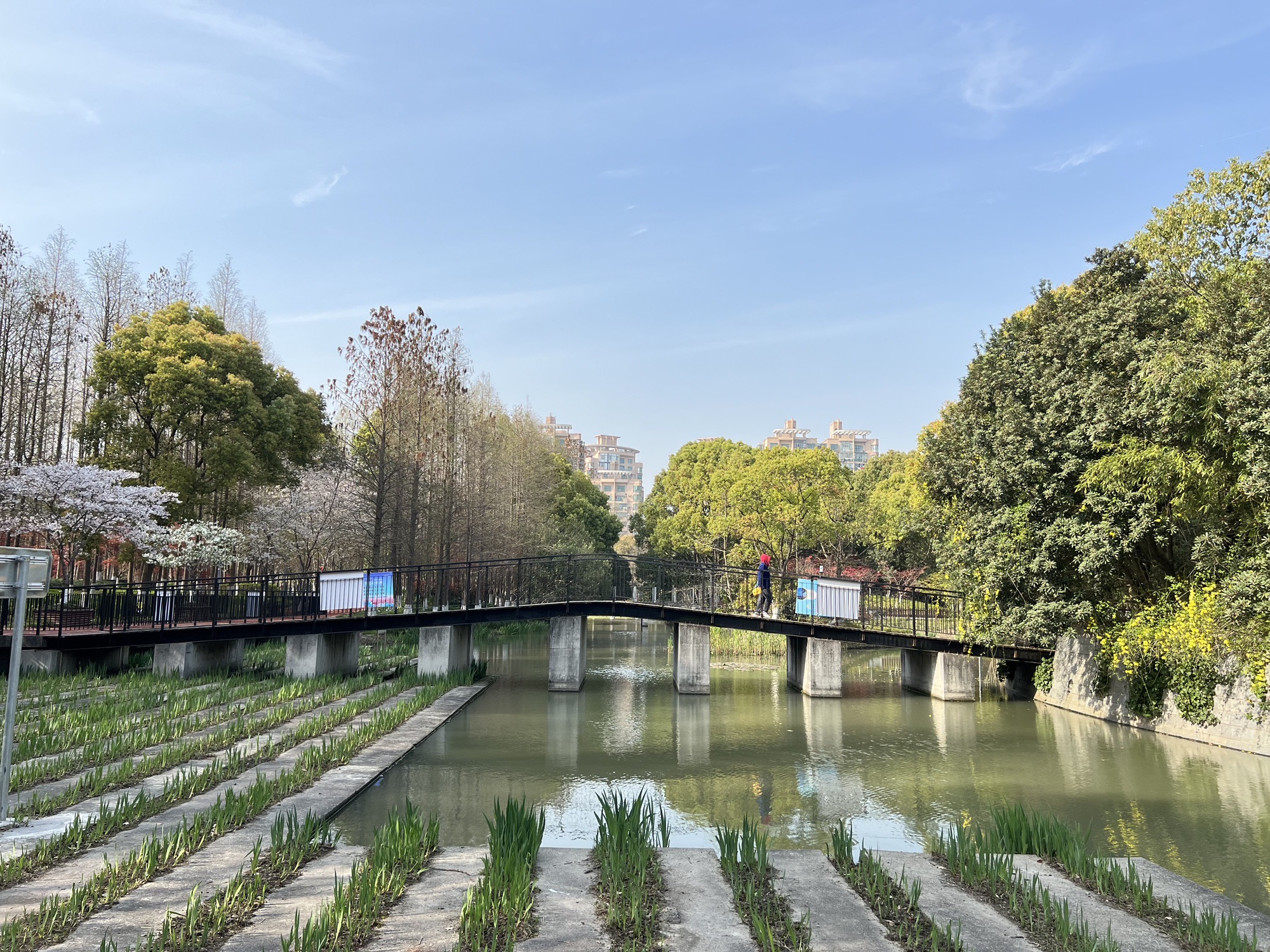 南箐园旅行图片 1
