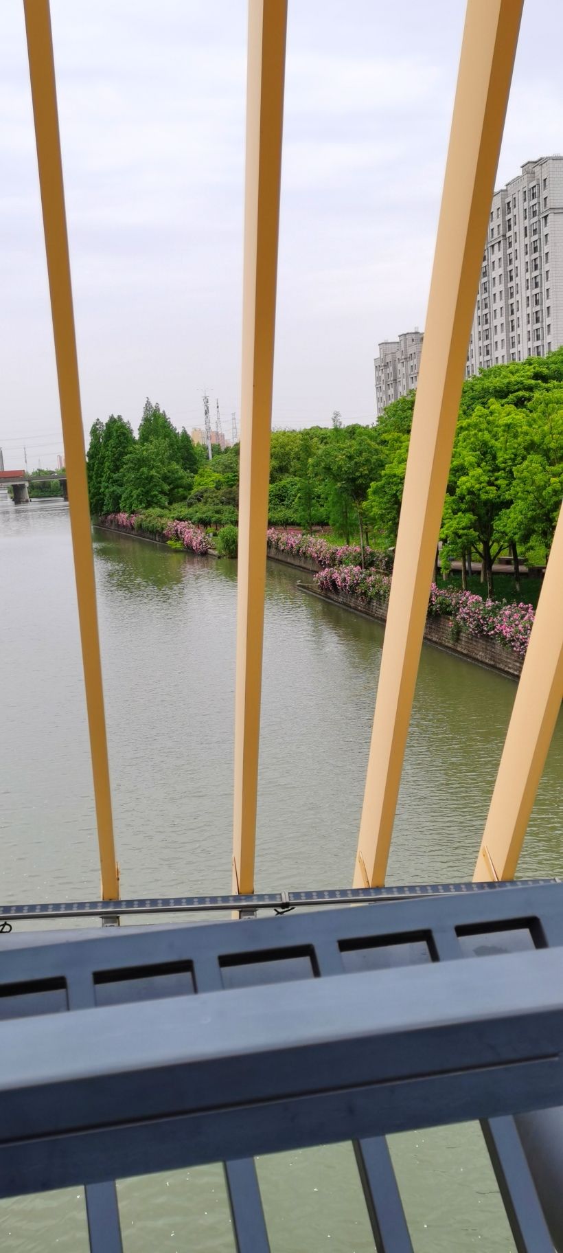 南箐园旅行图片 1