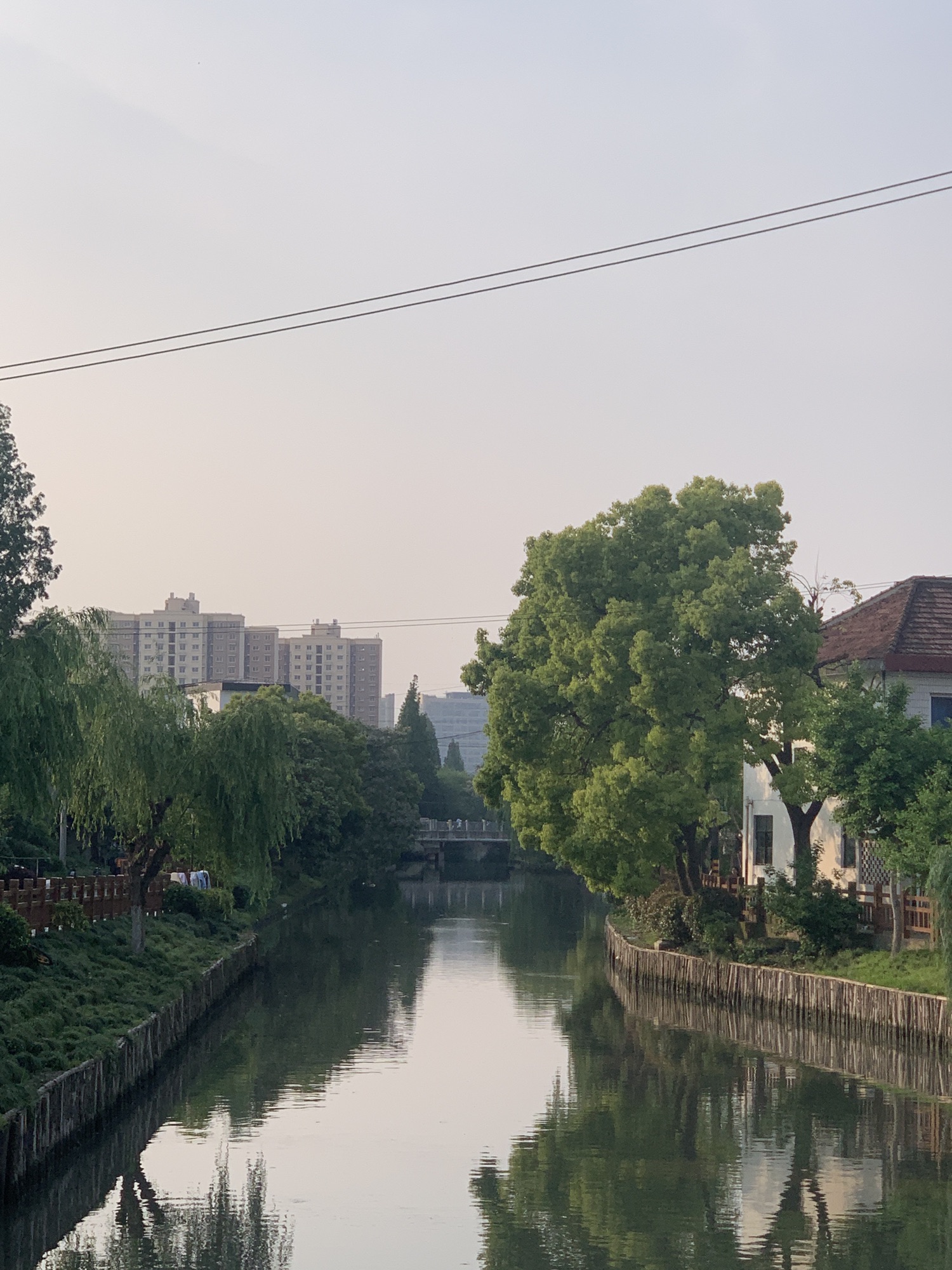 三林老街旅行图片 3