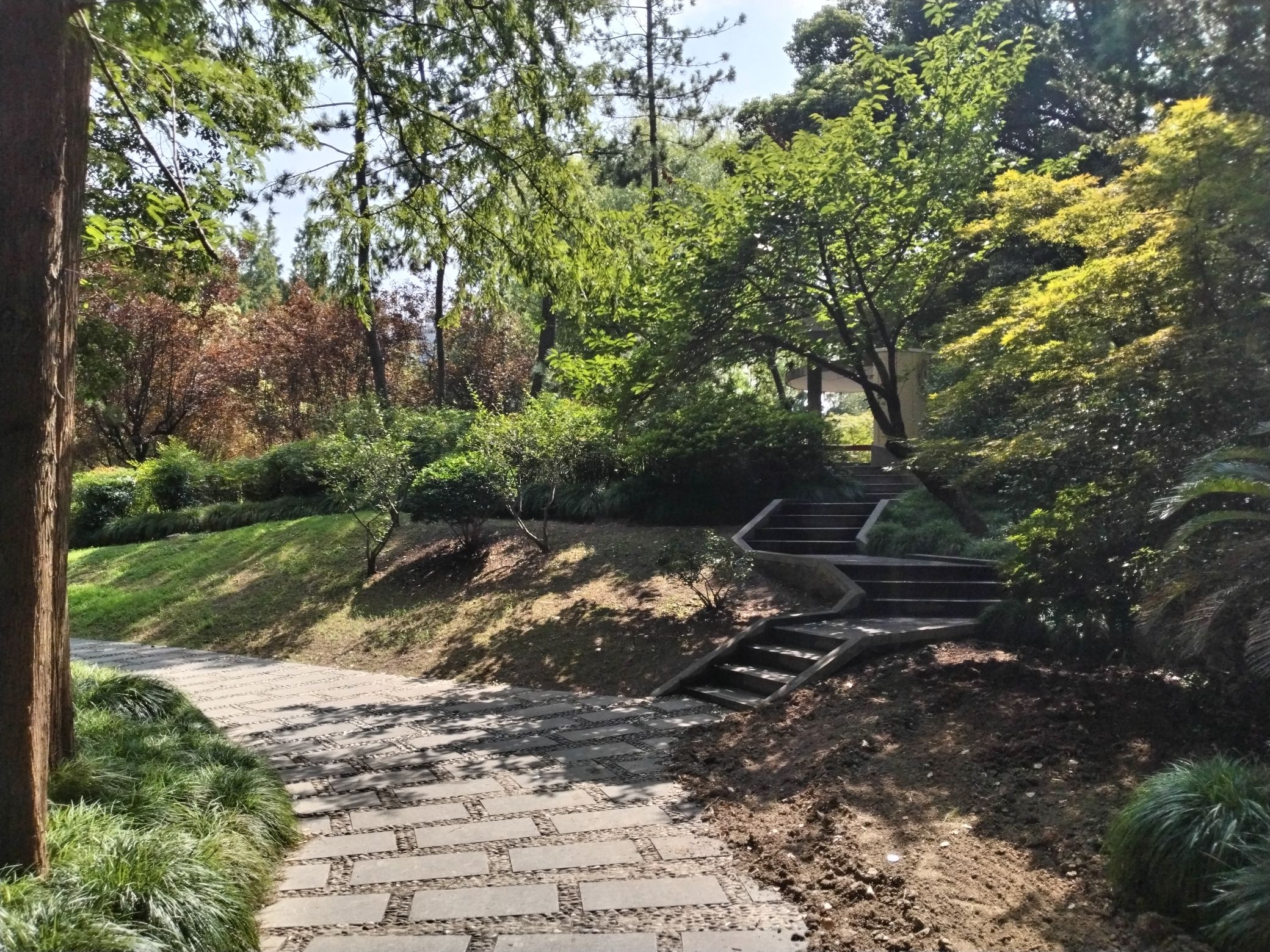复旦大学邯郸校区曦园