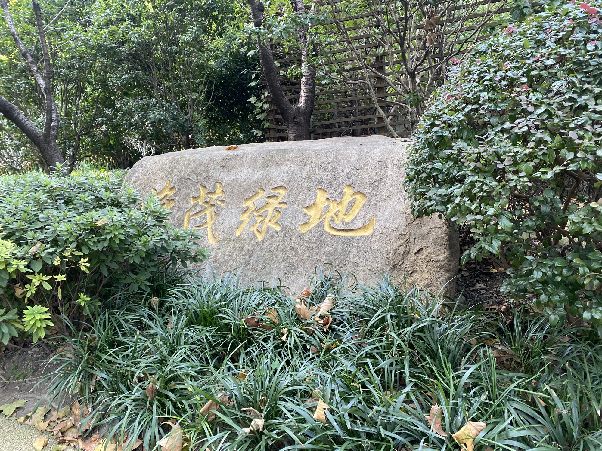 淮茂绿地旅行图片 1
