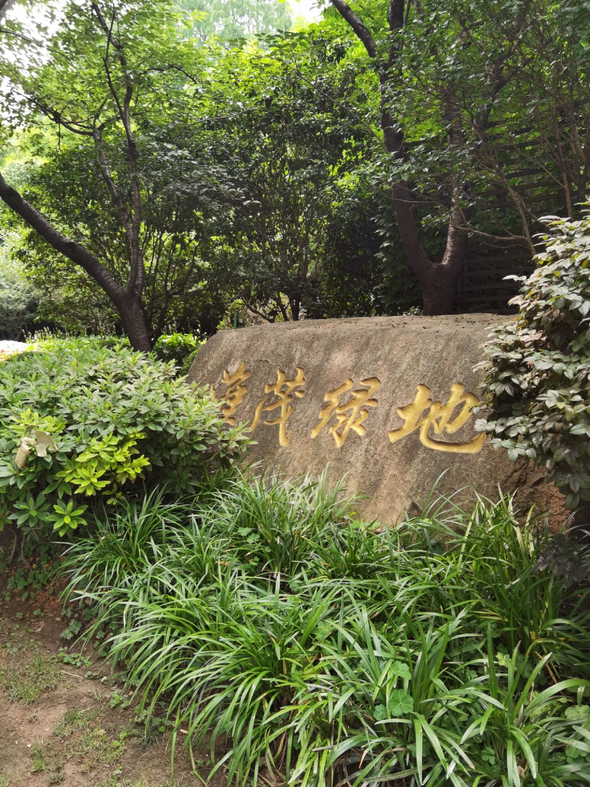 淮茂绿地旅行图片 2