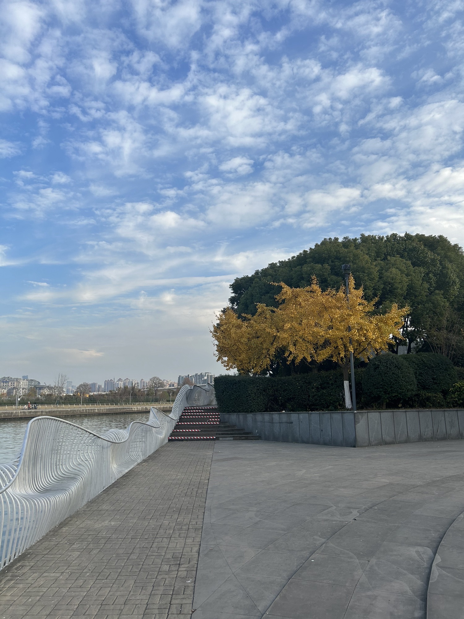 风铃绿地旅行图片 2