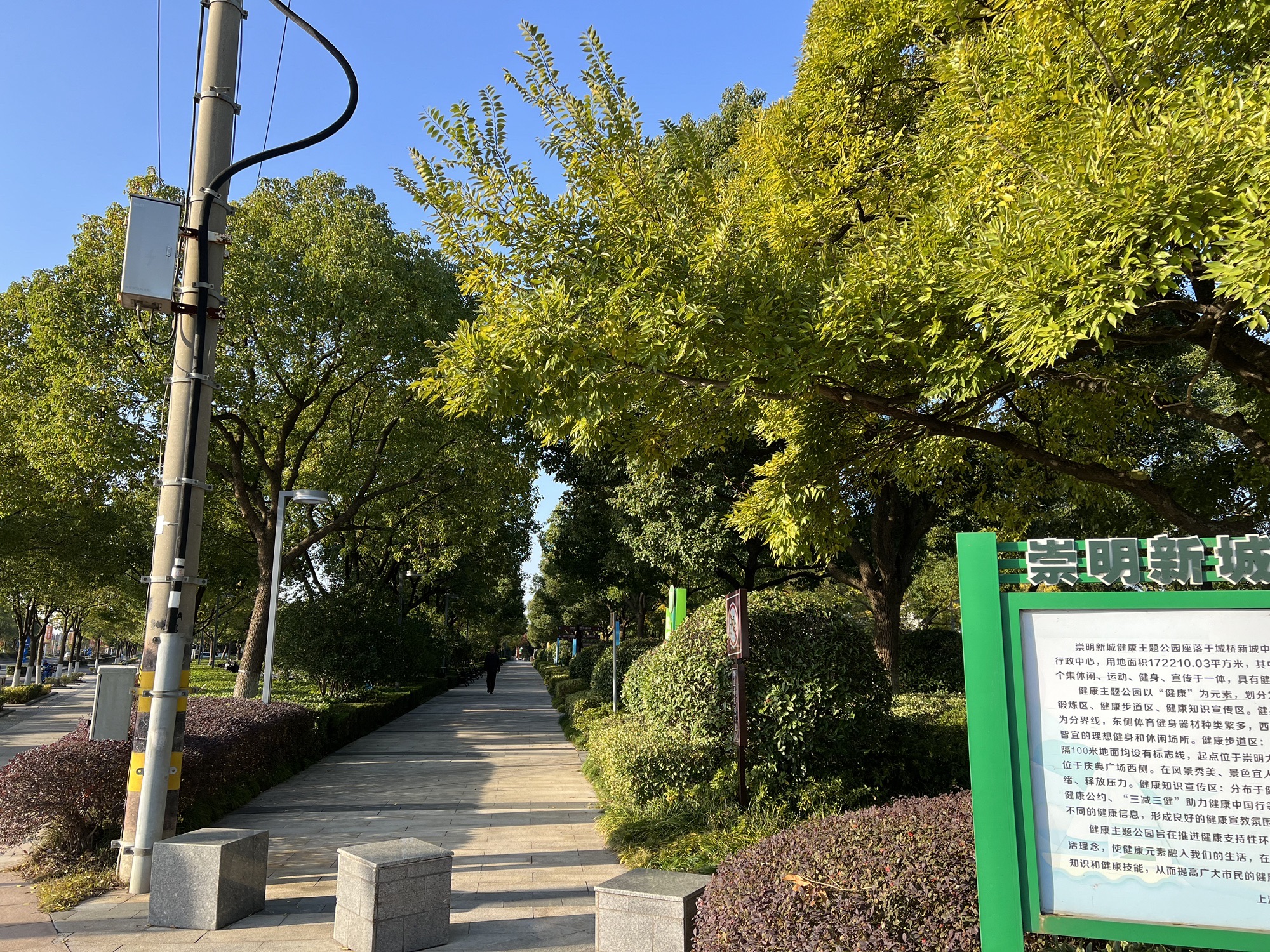 崇明新城公园旅行图片 3