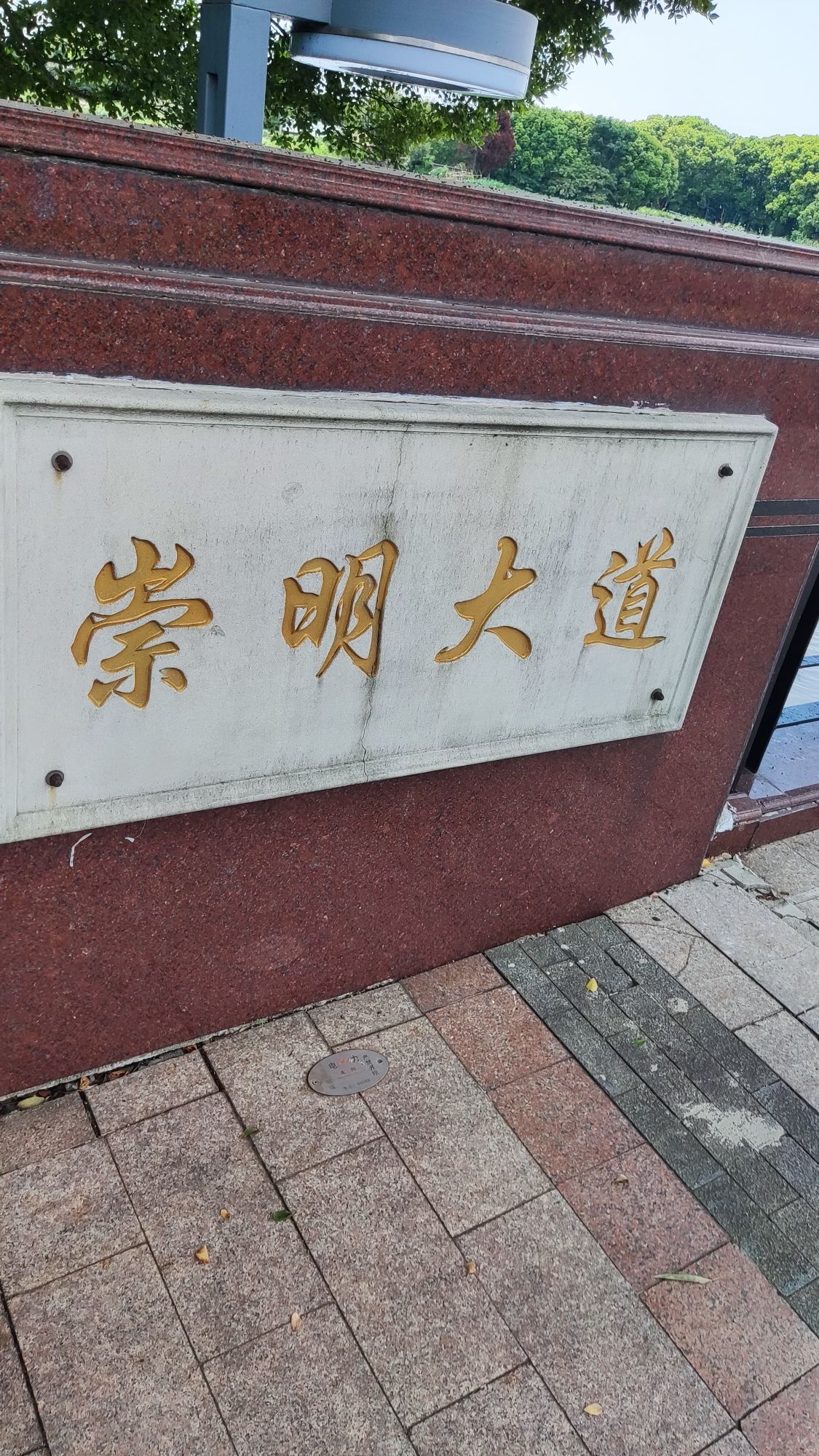 崇明新城公园旅行图片 1