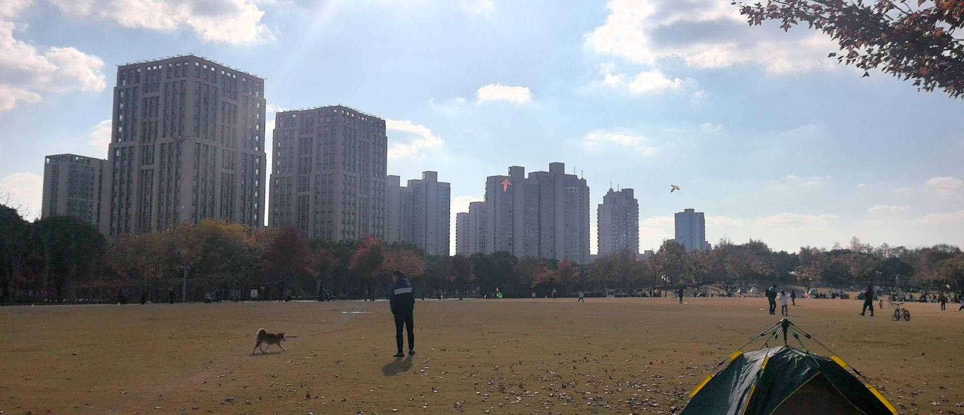 紫气东来公园旅行图片 3