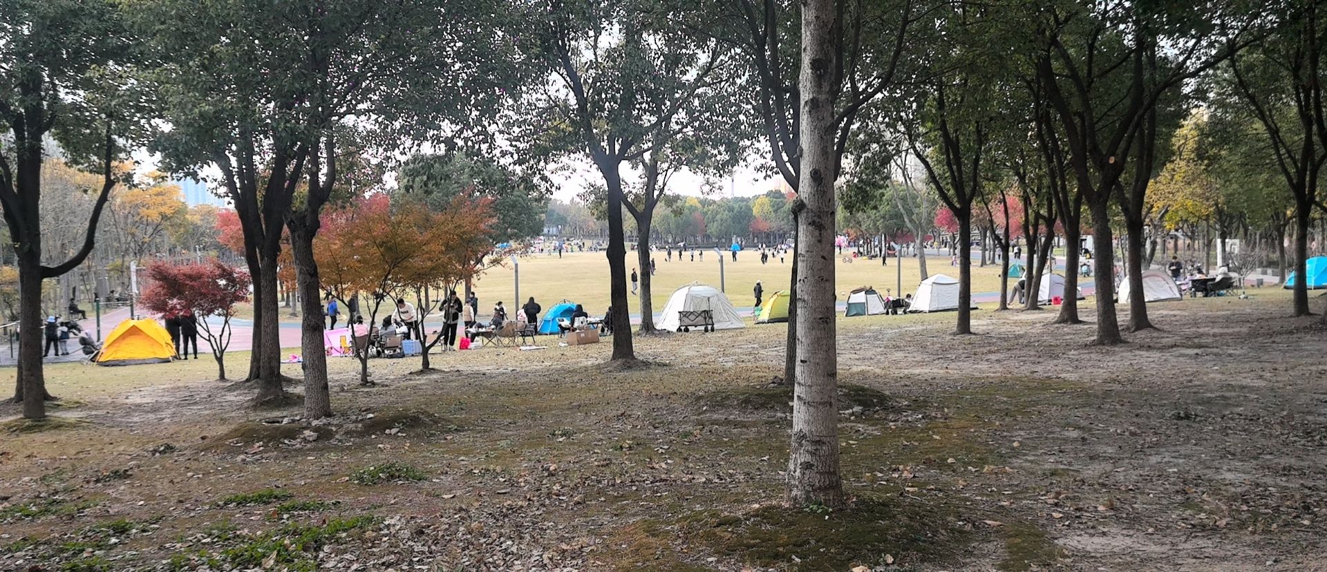 紫气东来公园旅行图片 2