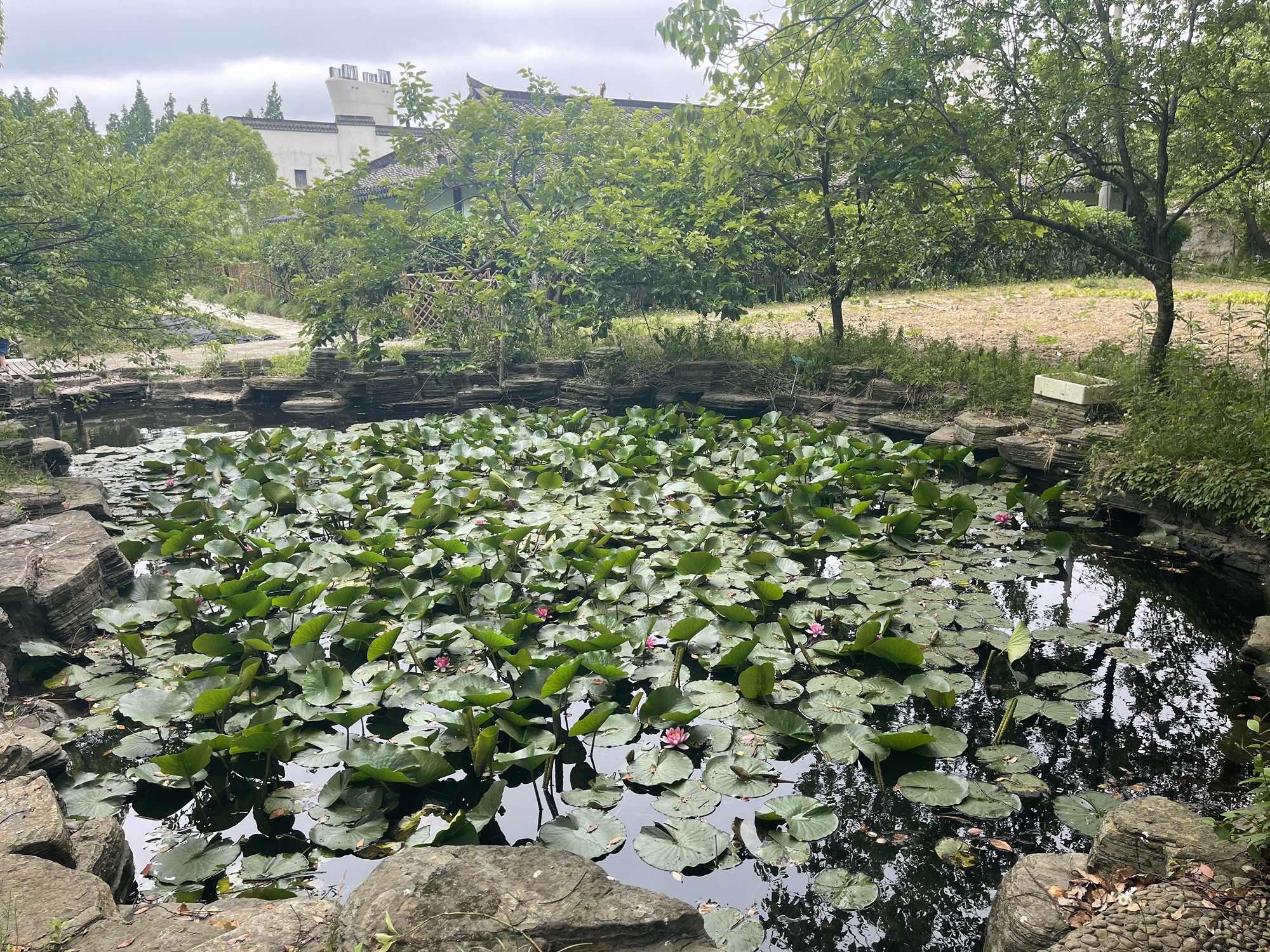 上海三甲新天地旅游度假区旅行图片 2