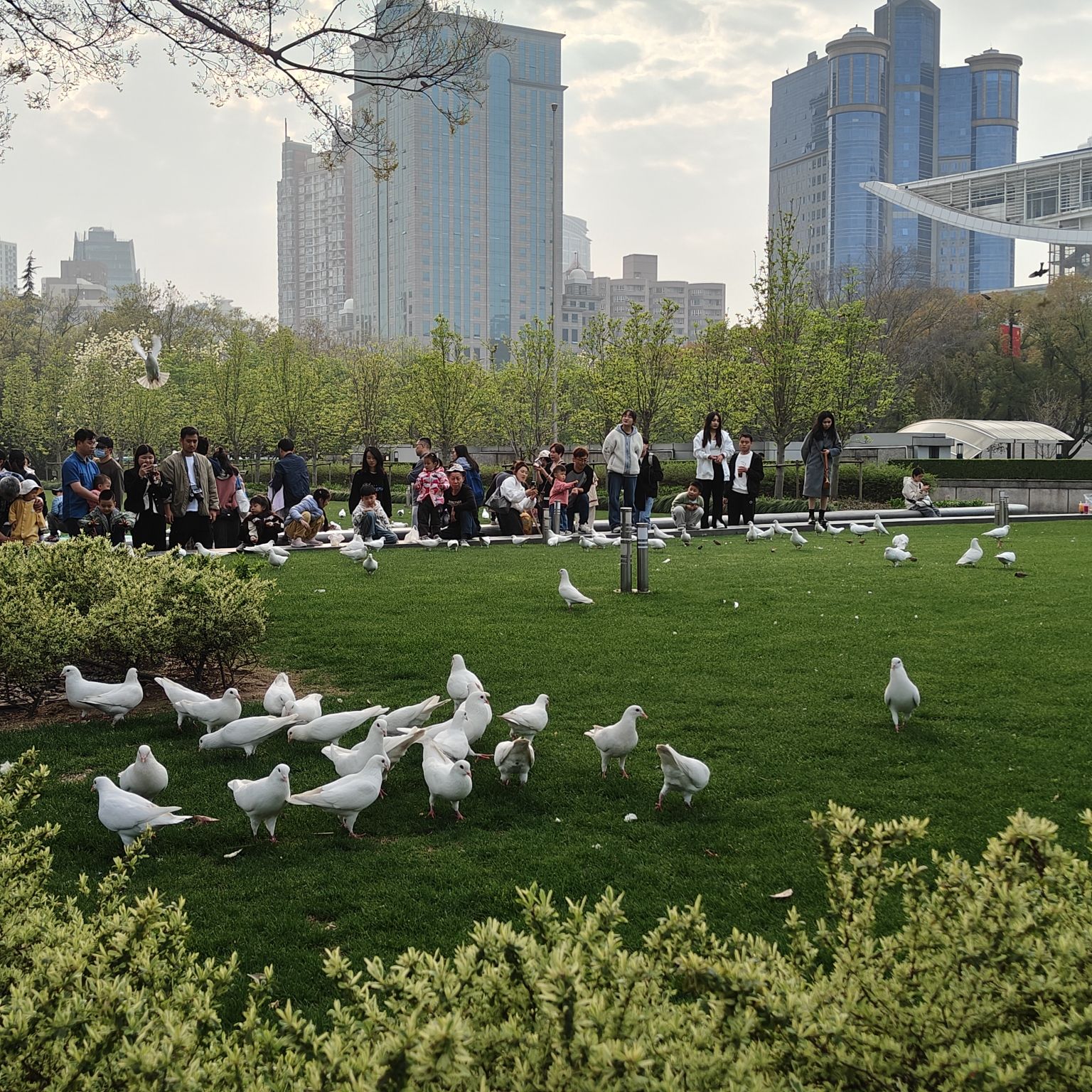 上海人民广场旅行图片 3