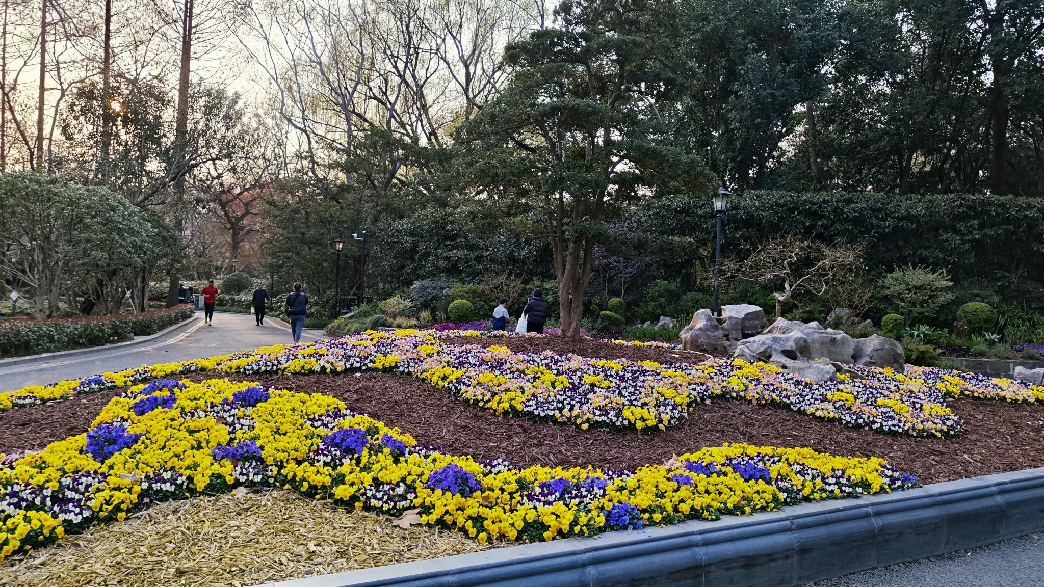 中山公园旅行图片 2