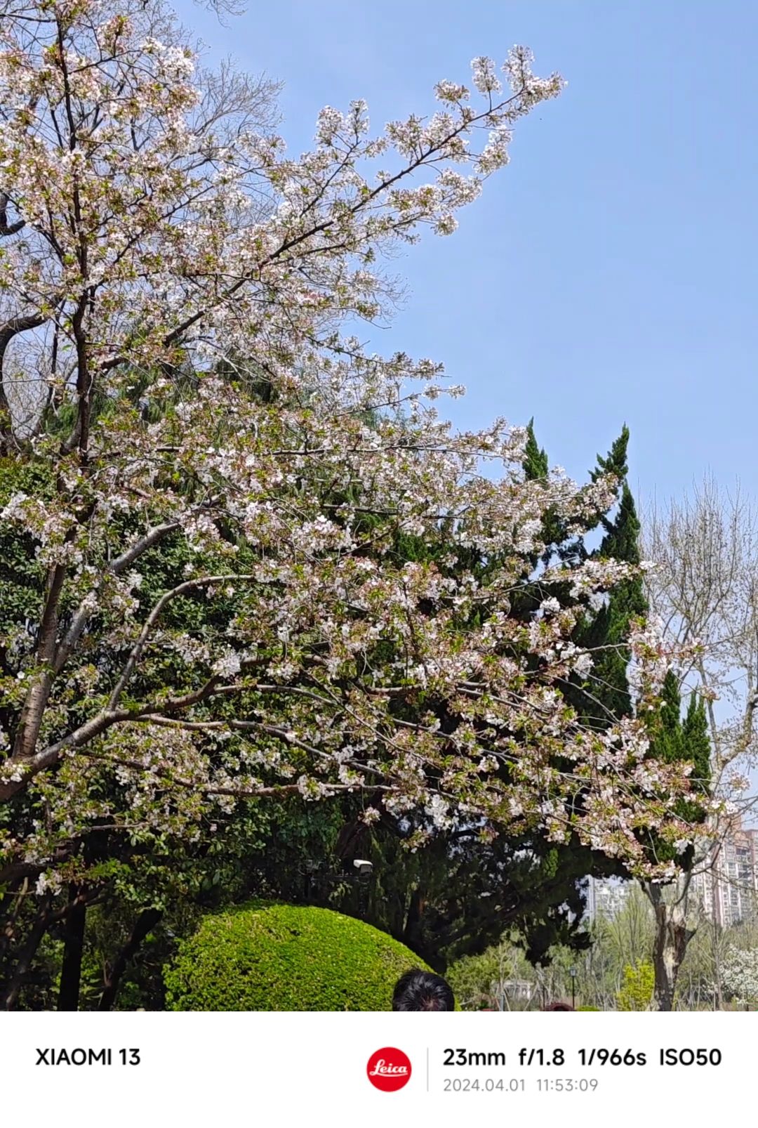 中山公园旅行图片 3